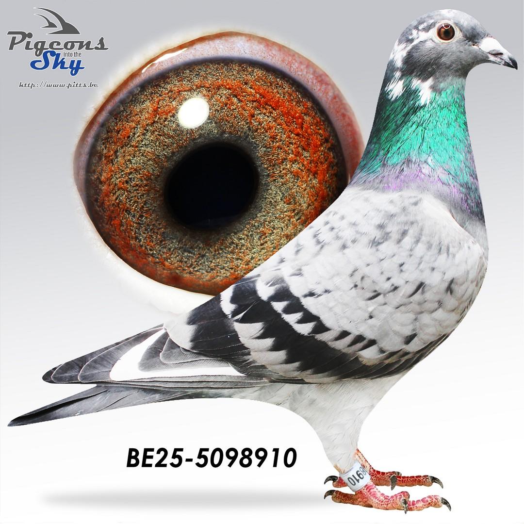 Melchior x Dochter Otto 