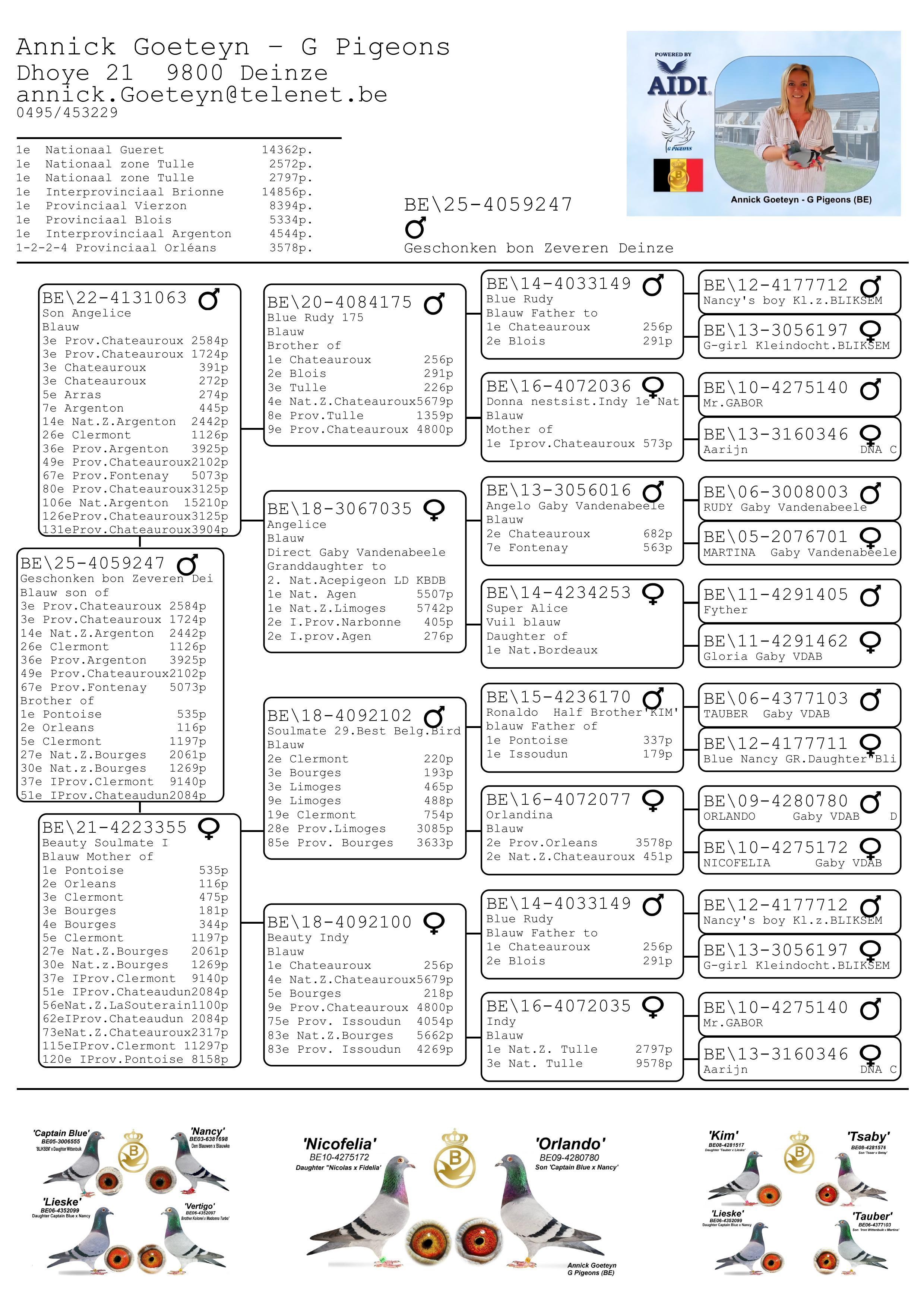 pedigree Goeteyn Annick - duiver 2025