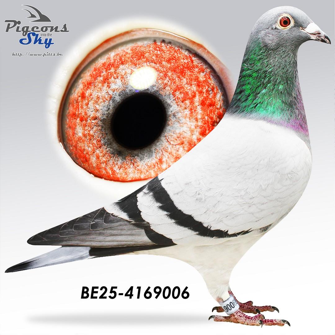 Inteelt Golden Prince en Wacko Freddy 