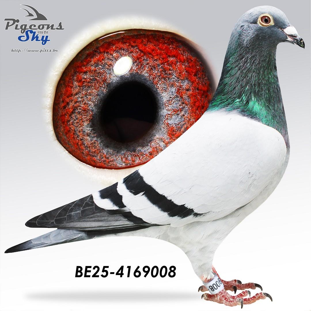 Lijn Geerinckx x Lijn Porsche 911 