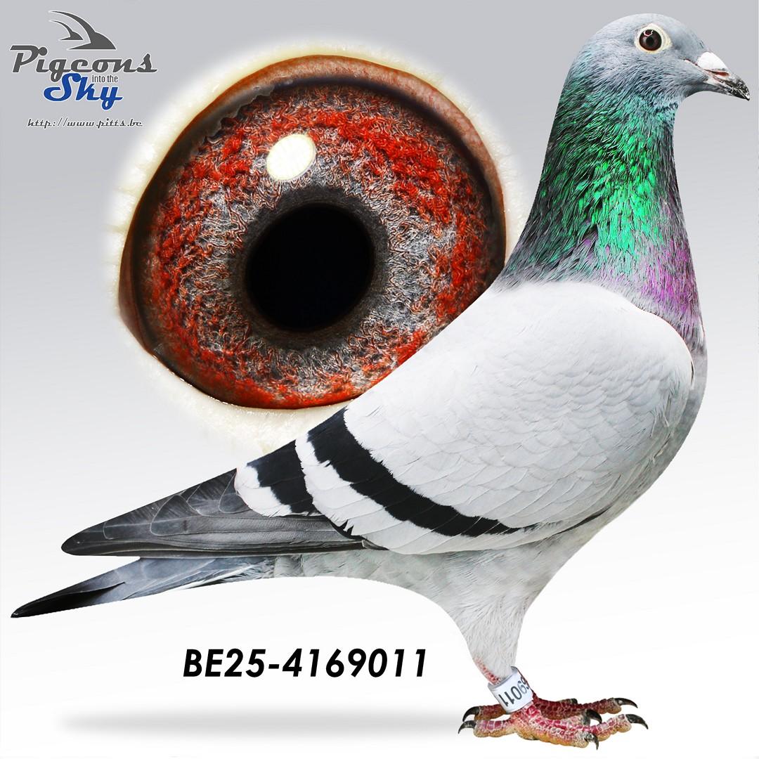 Zoon kleinzoon Prince Porsche x dochter inteelt Porsche 911 