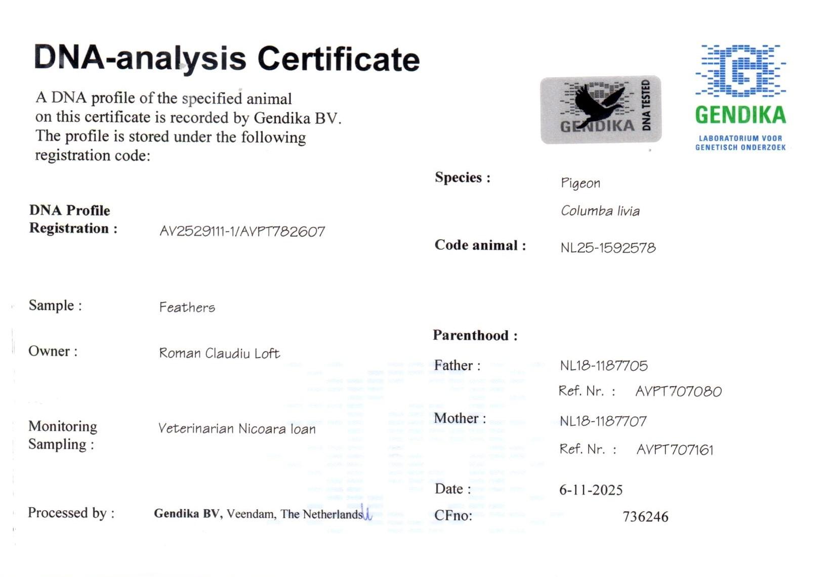 Theodoor x Theodoora + DNA  - Familie