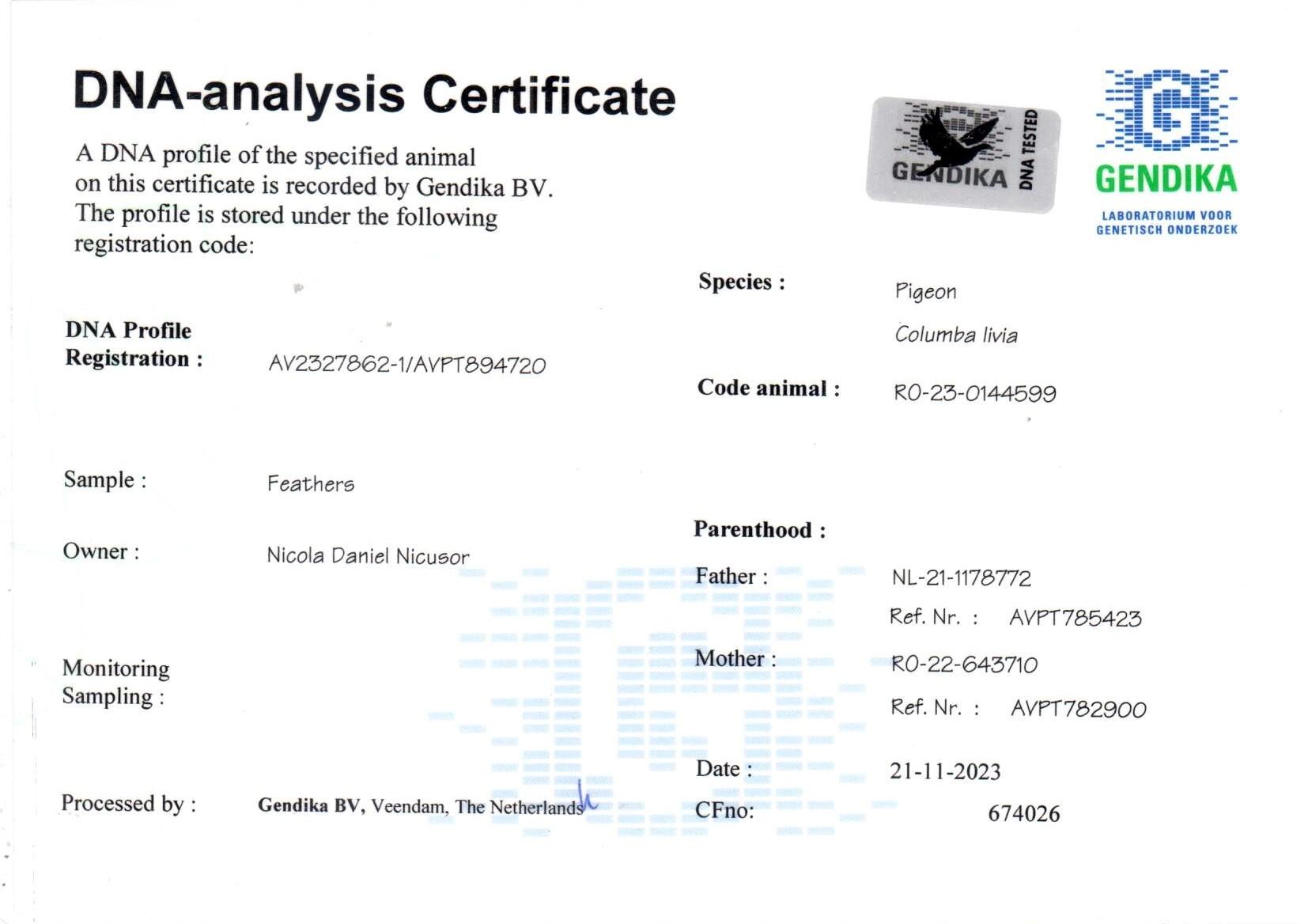 Zoon Mats x Dochter De Marathon + DNA  - Familie