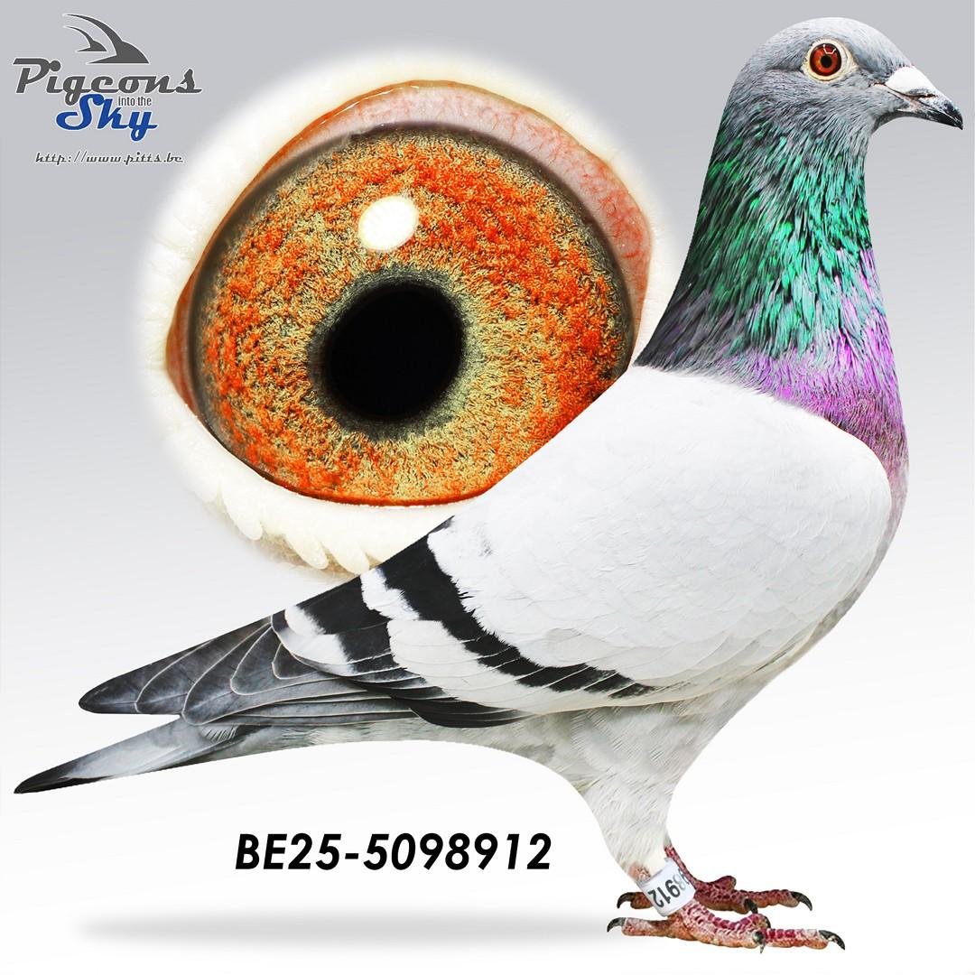 Cooper x Miss Narbonne 