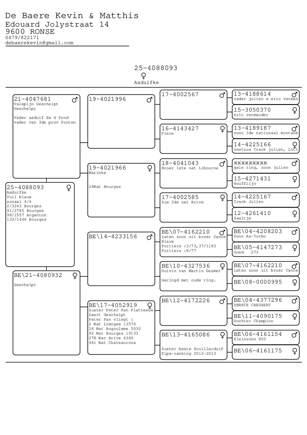 Pedigree van Matthis De Baere
