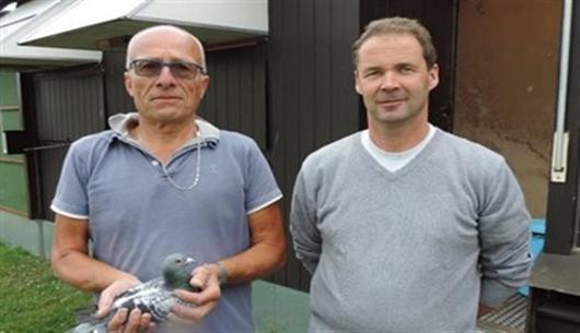 Roose-Pyra - jonge duif op afspraak