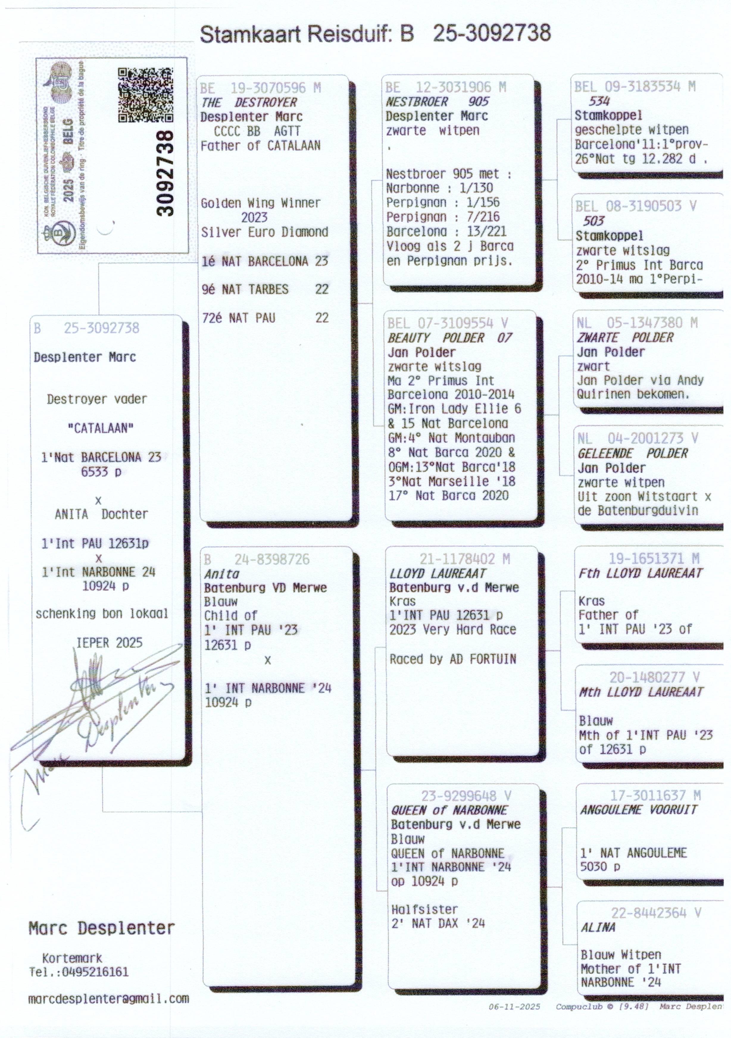 pedigree DESPLENTER MARC Kortemark - jaarduif 