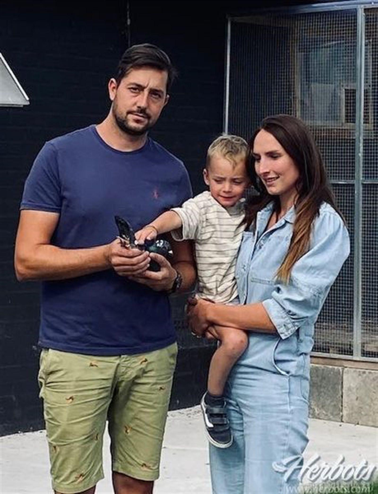 BOUCKAERT-CRUL Ardooie - jonge duif op afspraak