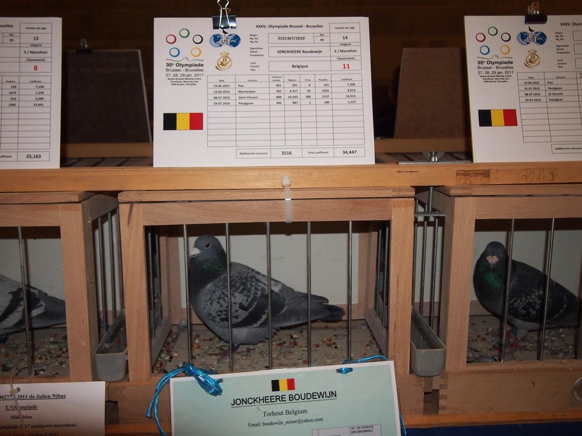 2017-01-28-olympiade-sport-12-jonckheereboudewijn.jpg