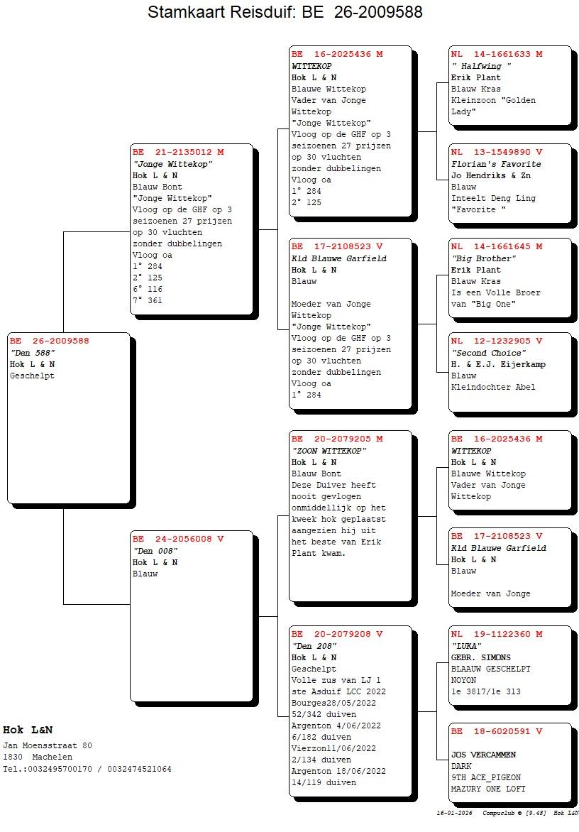 pedigree "Den 588"