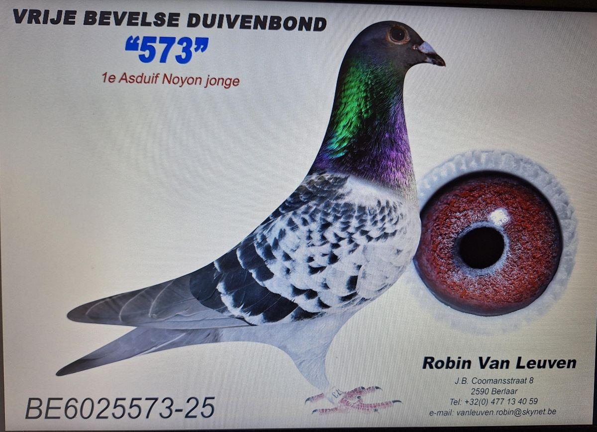 PITTS-V Leuven R-PITTS-BE25-6025573 '573'-Foto-1