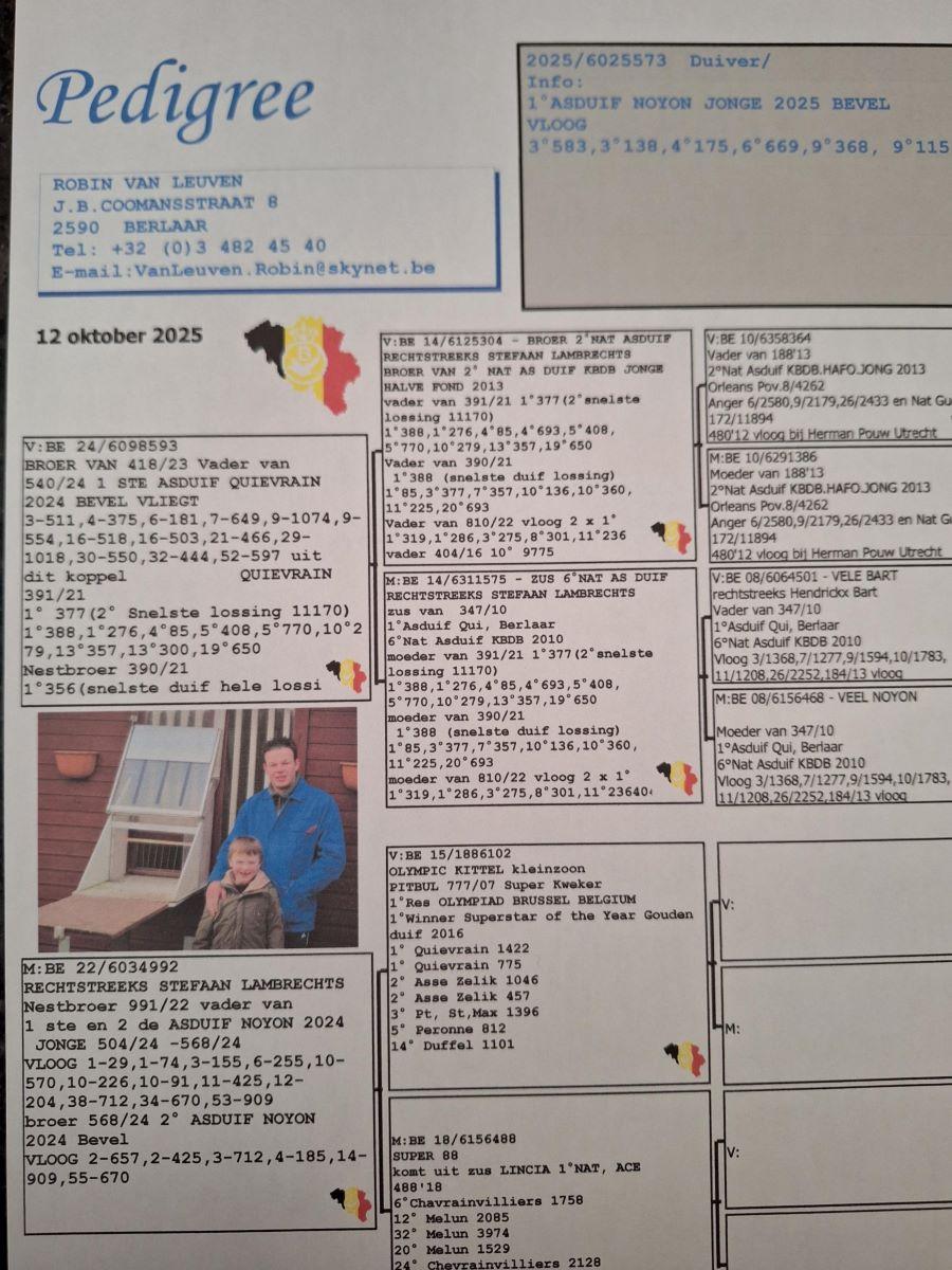 PITTS-V Leuven R-PITTS-BE25-6025573 '573'-pedigree-1