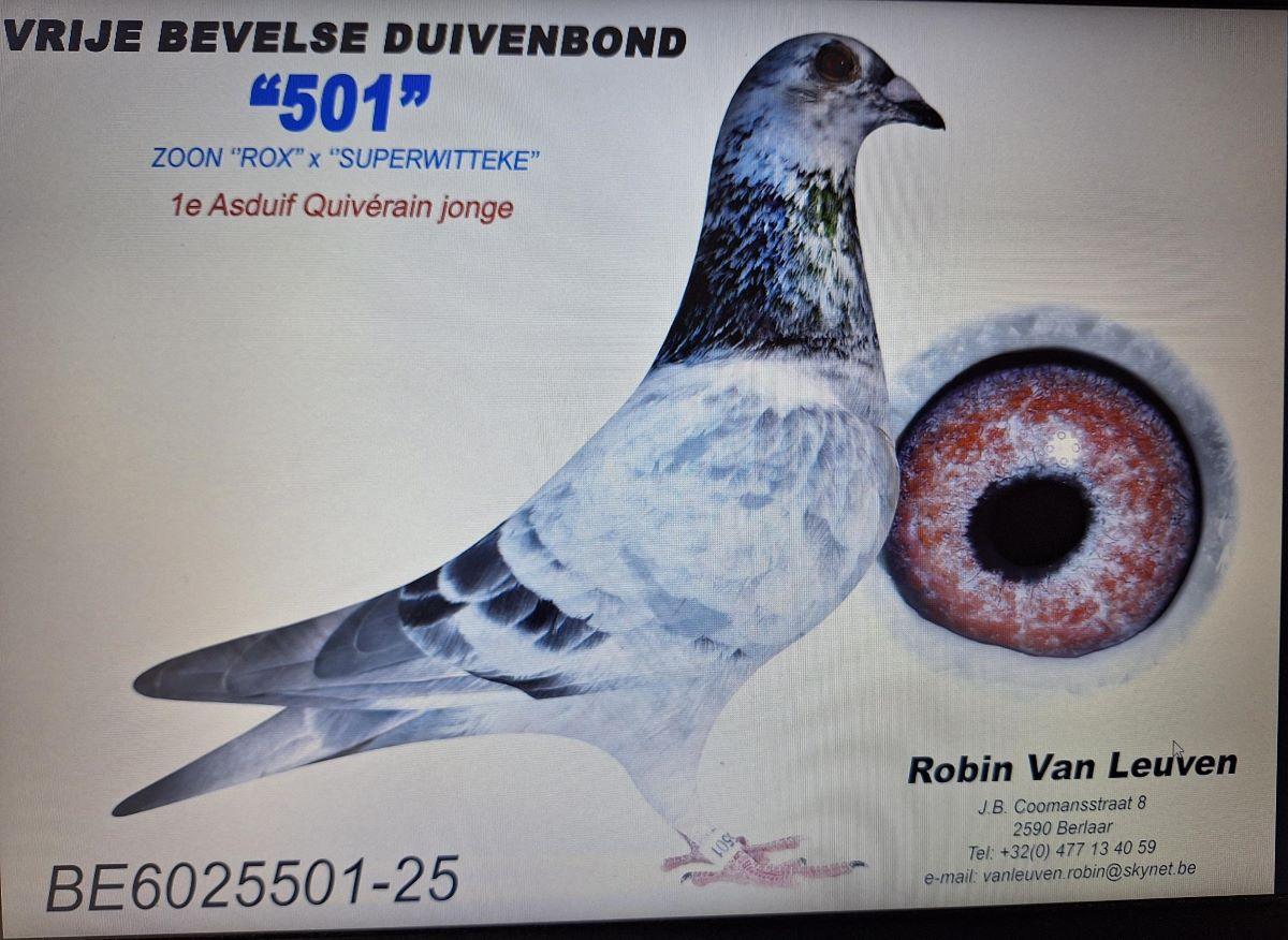 PITTS-V Leuven R-PITTS-BE25-6025501 '501'-Foto-1