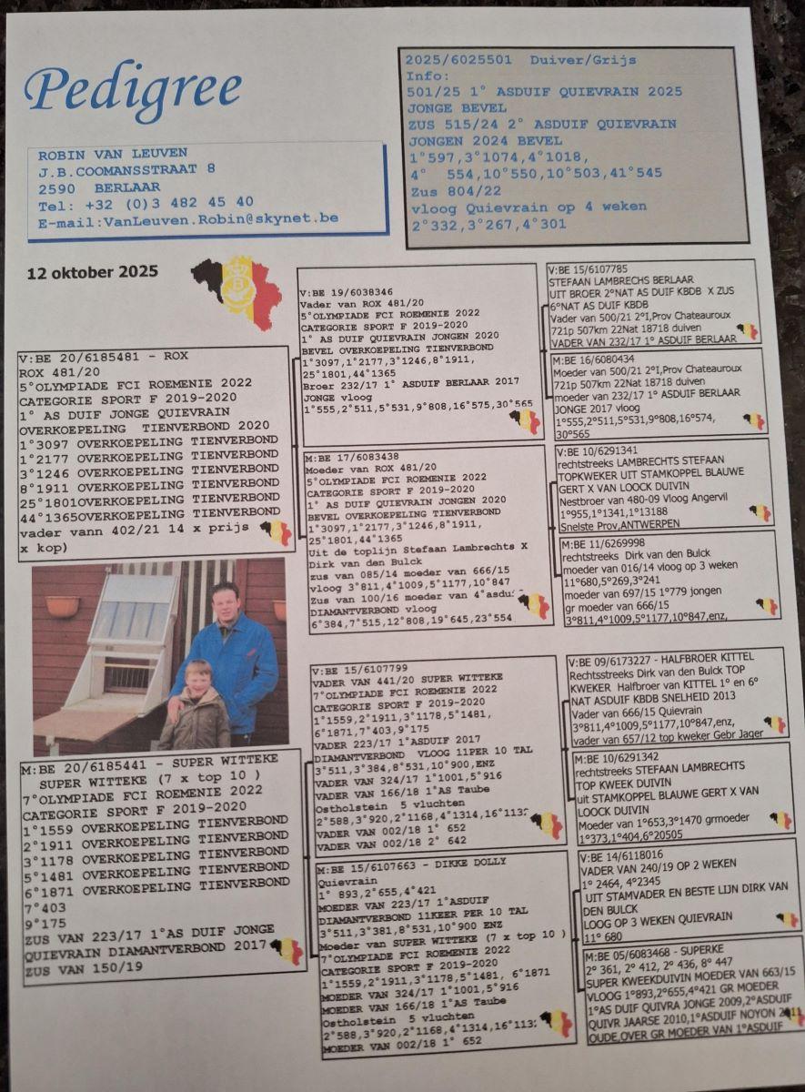 PITTS-V Leuven R-PITTS-BE25-6025501 '501'-pedigree