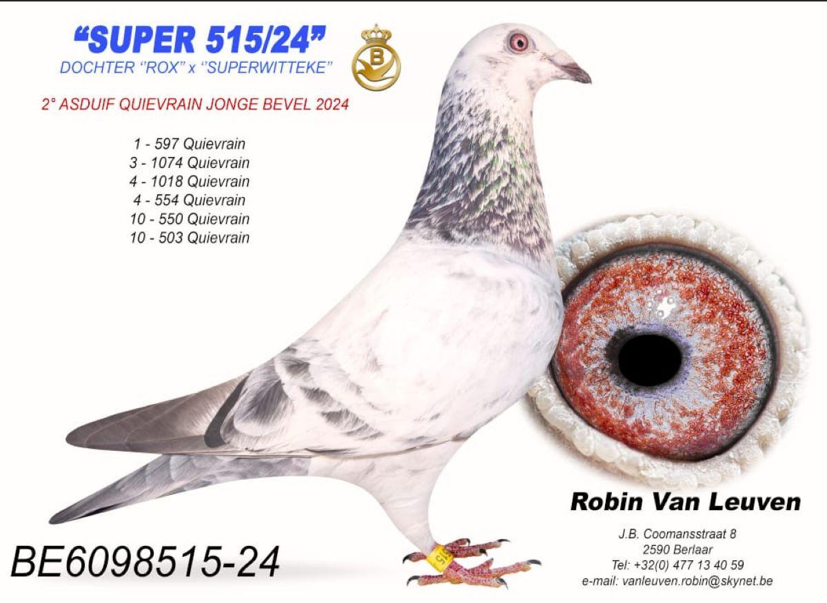 PITTS-V Leuven R-PITTS-BE24-6098515 'Super 515-24' -Foto-1