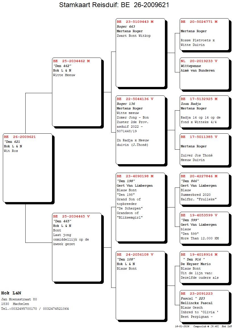 pedigree "Den 621"