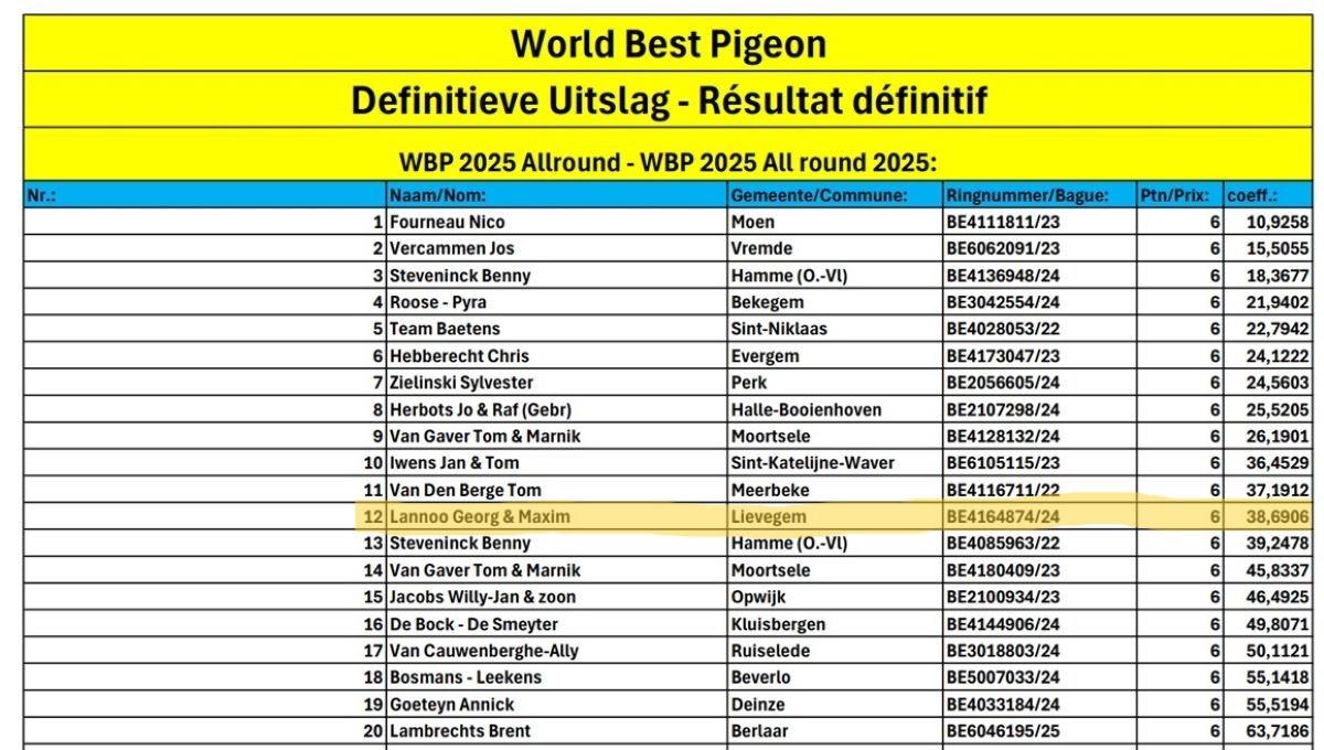 World Best Pigeon 2025 Allround