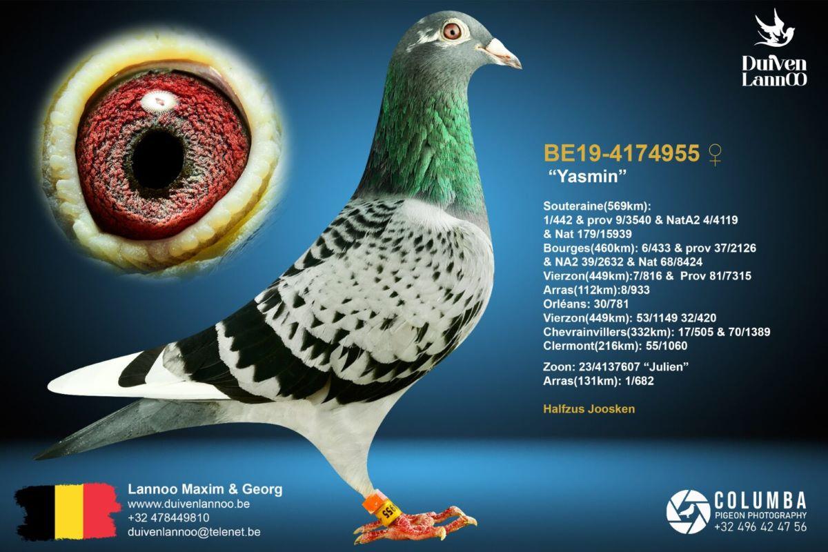 PITTS-Lannoo-PITTS-BE19-4174955 'Yasmin' -Foto