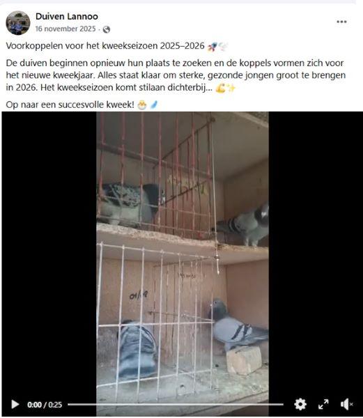 2025-11-16 FACEBOOK Duiven Lannoo