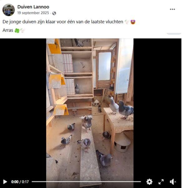 2025-09-19 FACEBOOK Duiven Lannoo