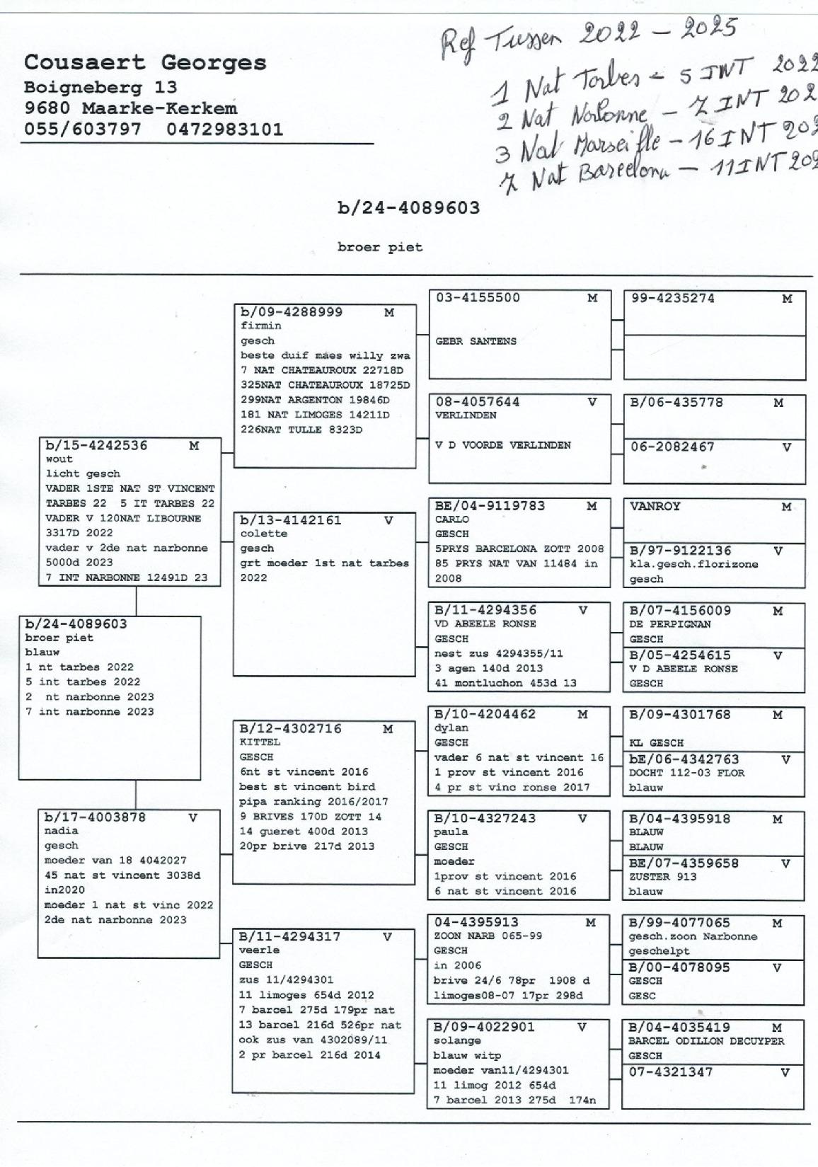 pedigree Georges Cousaert