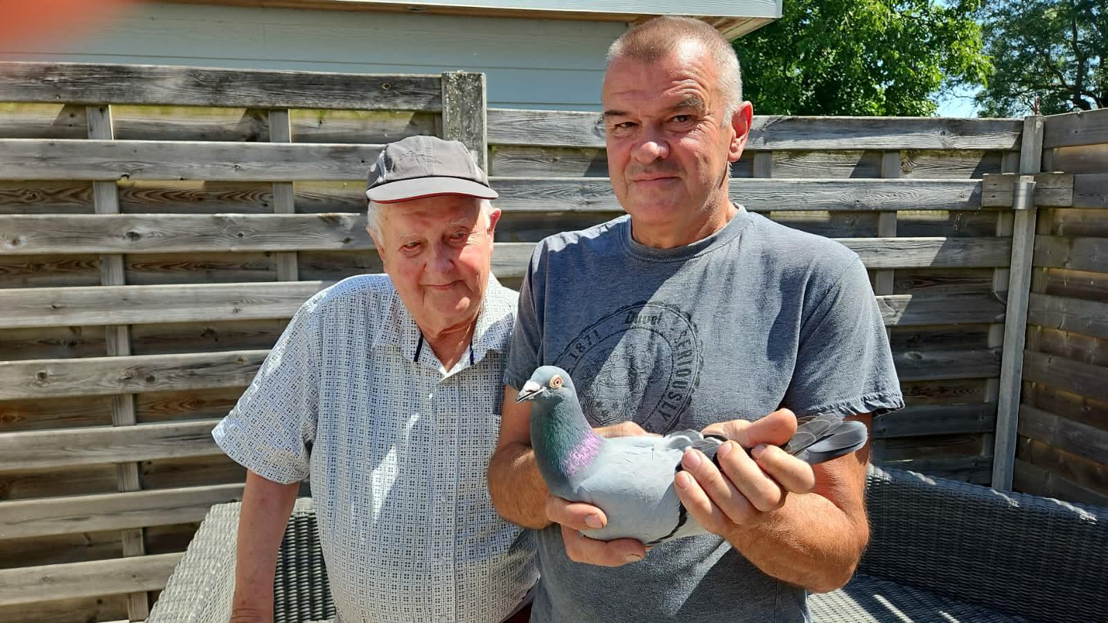 Debal Ronny & Roger - jonge duif 2026