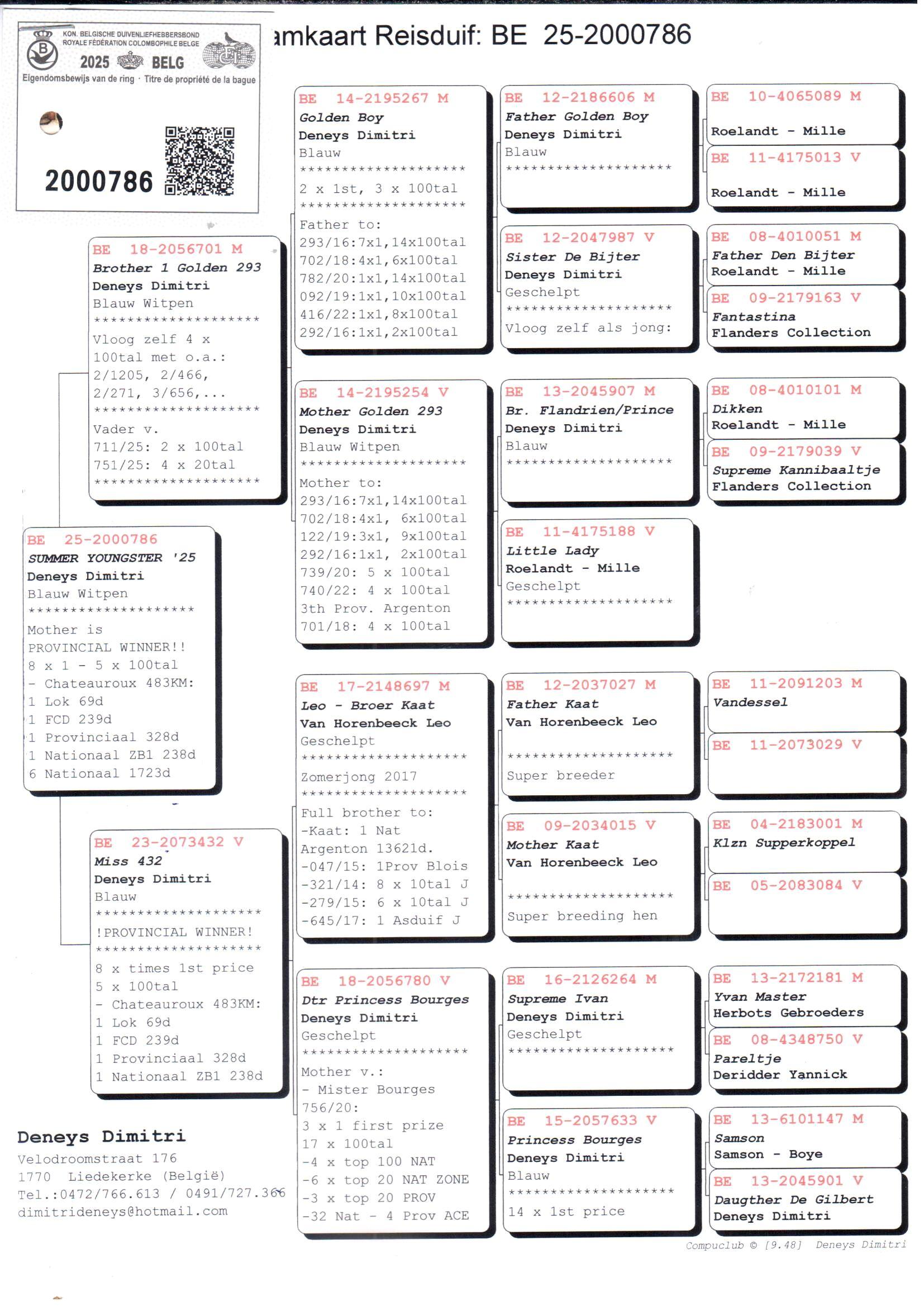 pedigree Brother 1 Golden 293 x Miss 432 