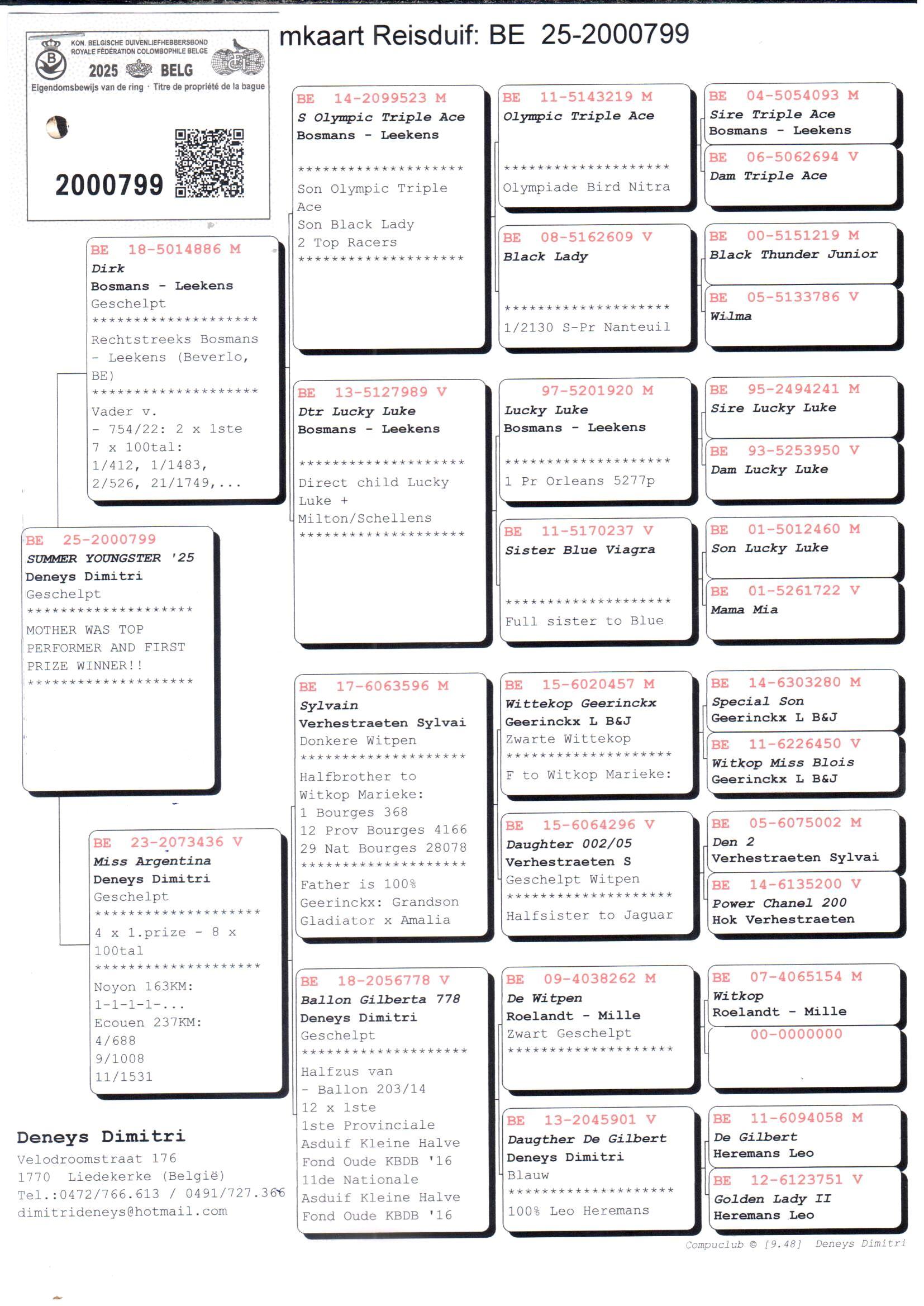 pedigree Dirk x Miss Argentina 