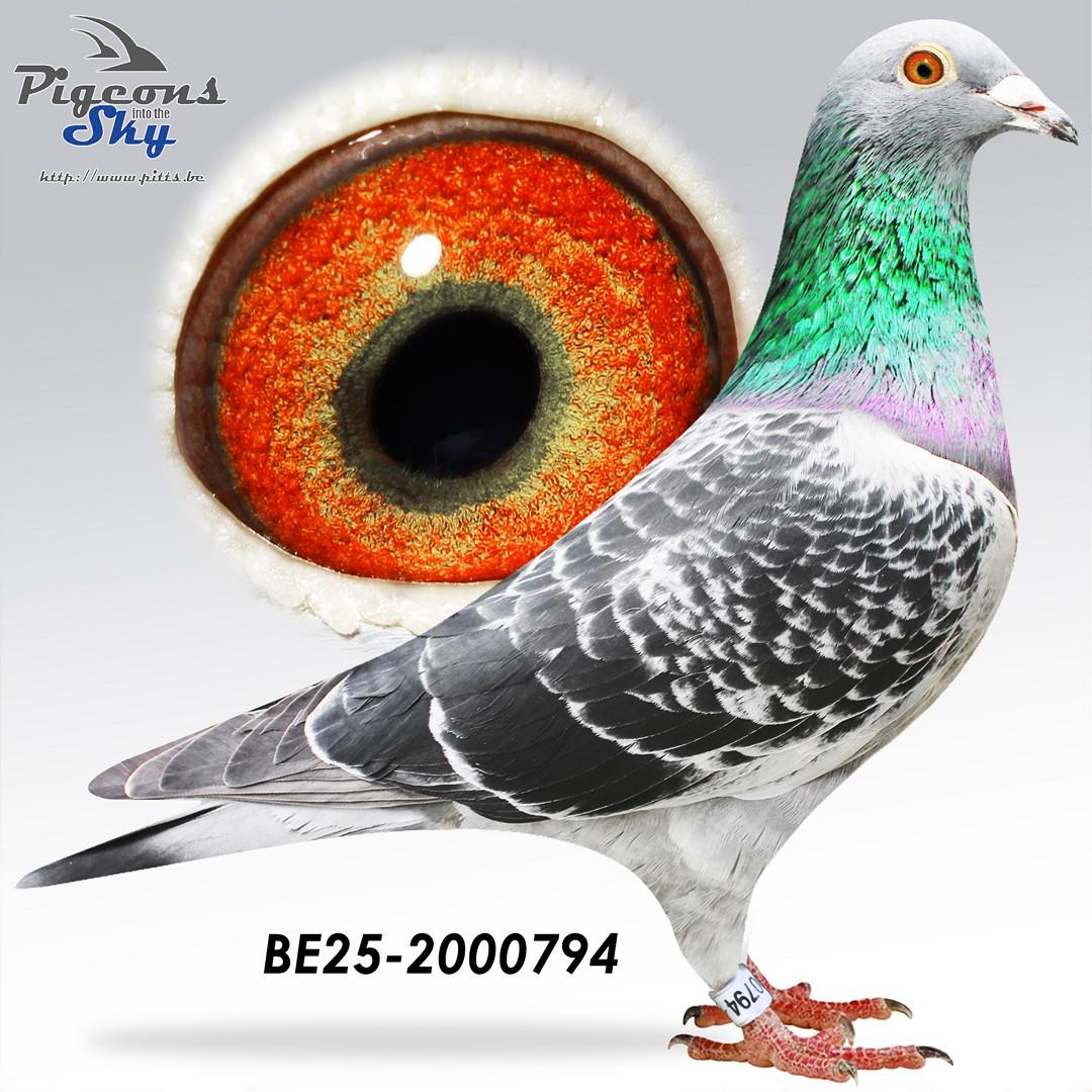 Ballon Mario 094 x Miss Montoise 