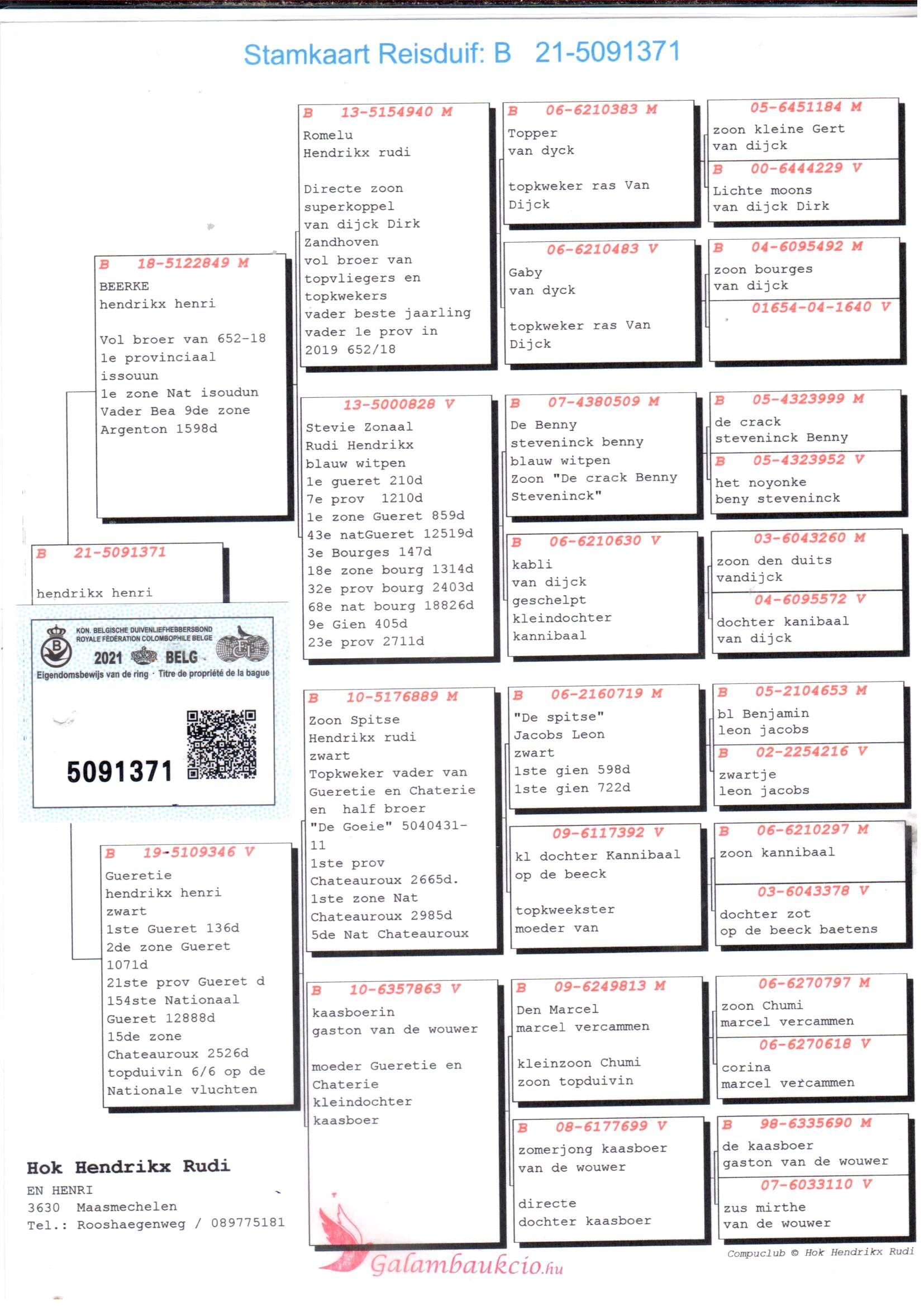 pedigree Beerke x Gueretie 