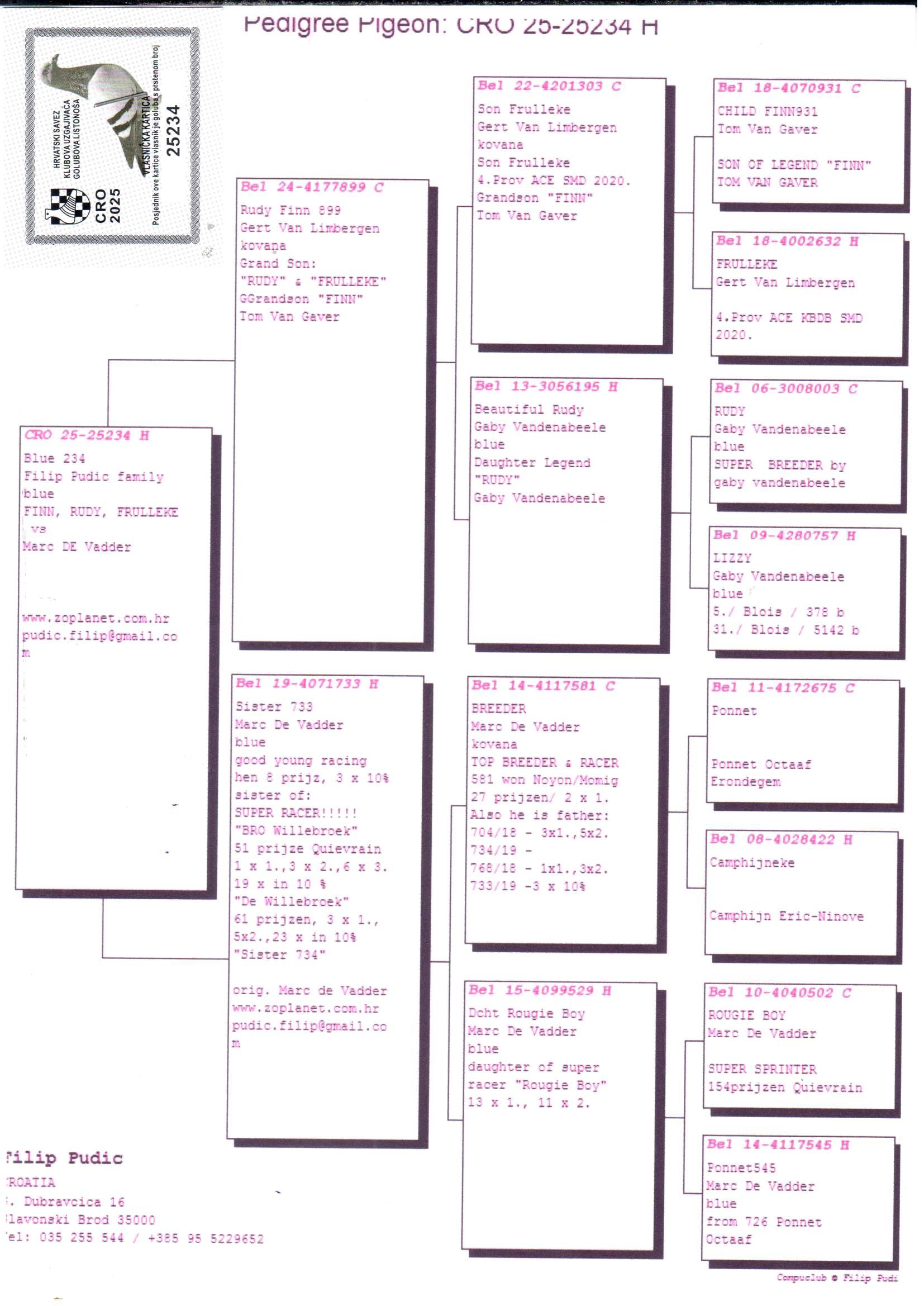 pedigree Rudy Finn 899 x Sister 733 