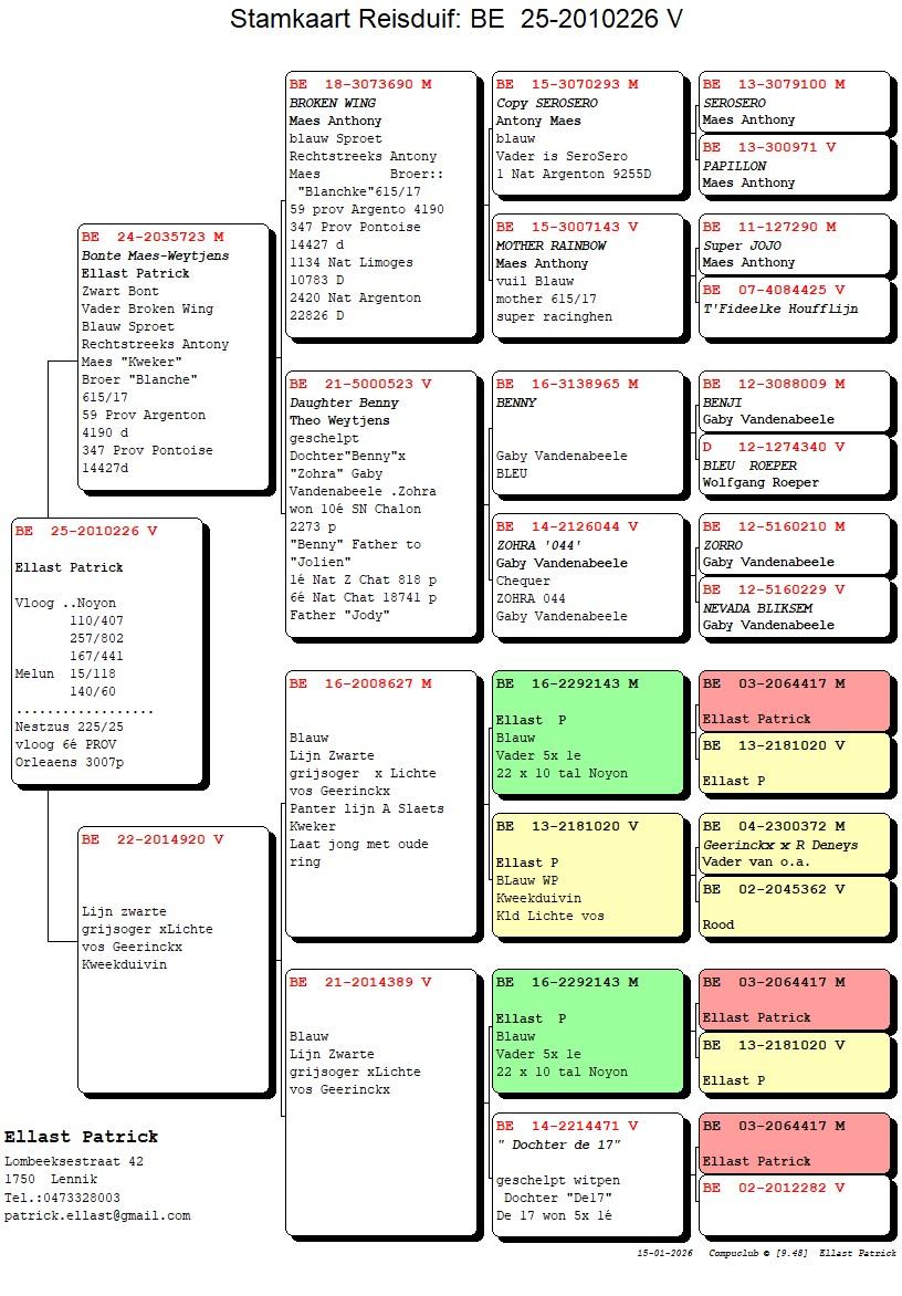 pedigree Zoon Broken Wing x Lijn Zwarte Grijsoger 