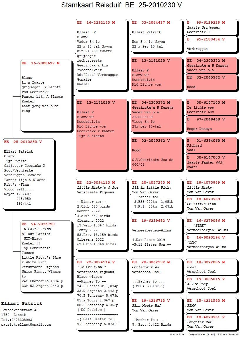 pedigree Lijn Zwarte Grijsoger x Ricky’s Finn 