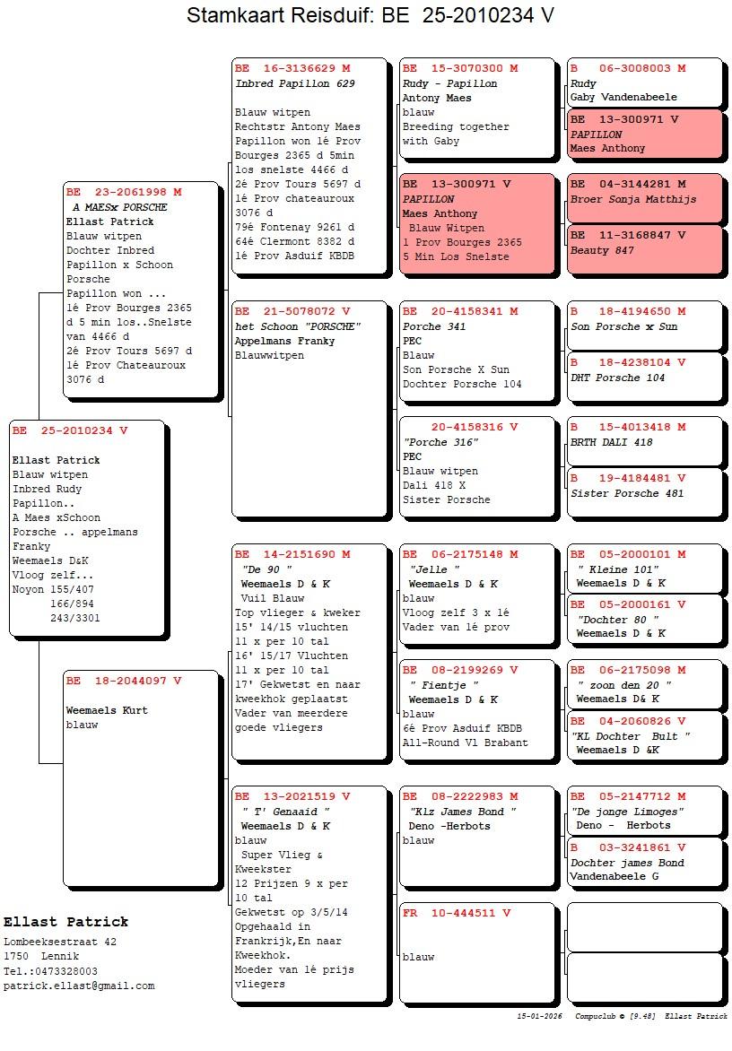 pedigree Zoon Het Schoon Porsche x Dochter ’t Genaaid 