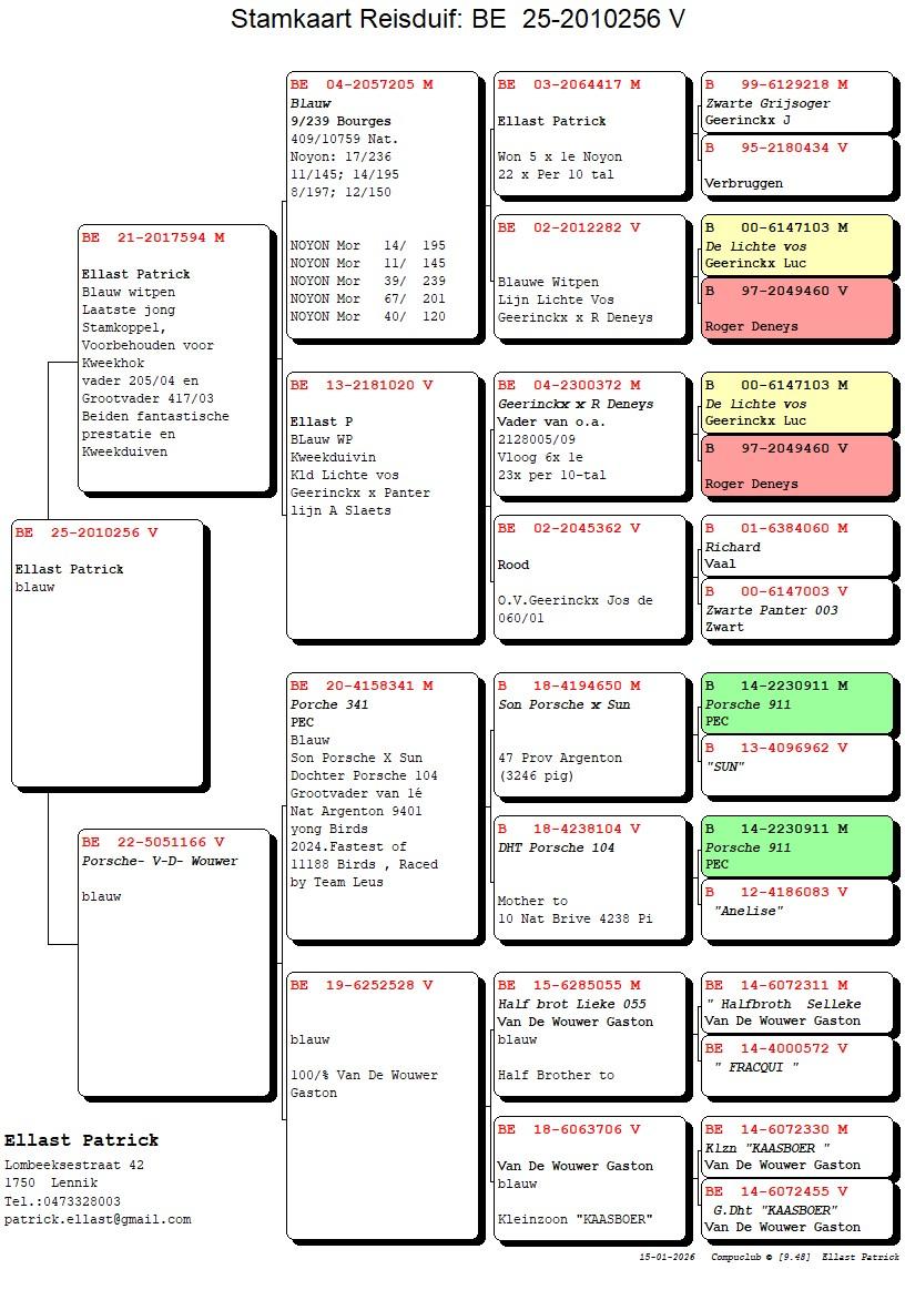 pedigree Laatste jong stamkoppel x dochter Porsche 341 