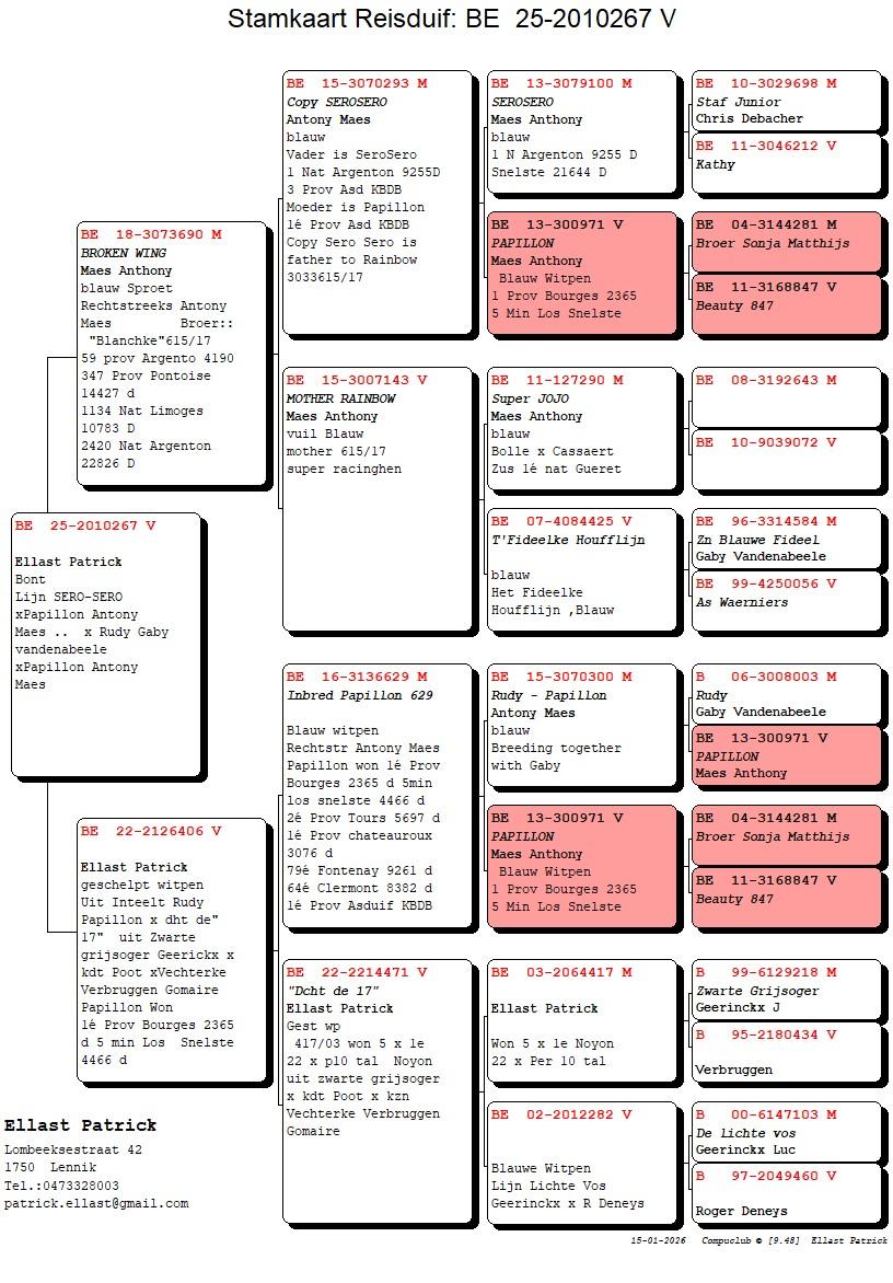 pedigree Broken Wing x Dochter De 17 