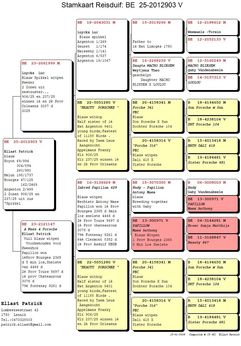 pedigree Lucky Luc x Dochter Beauty Porschke 