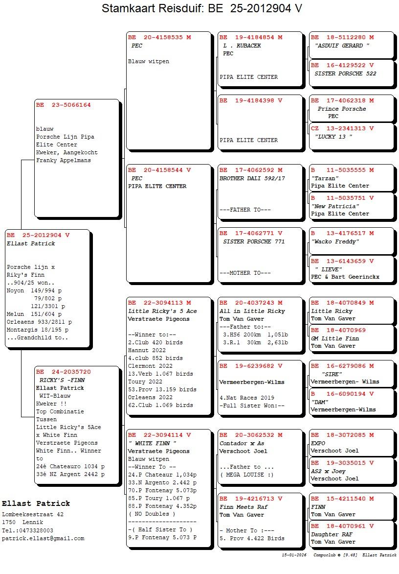 pedigree Porsche lijn x Ricky’s Finn 