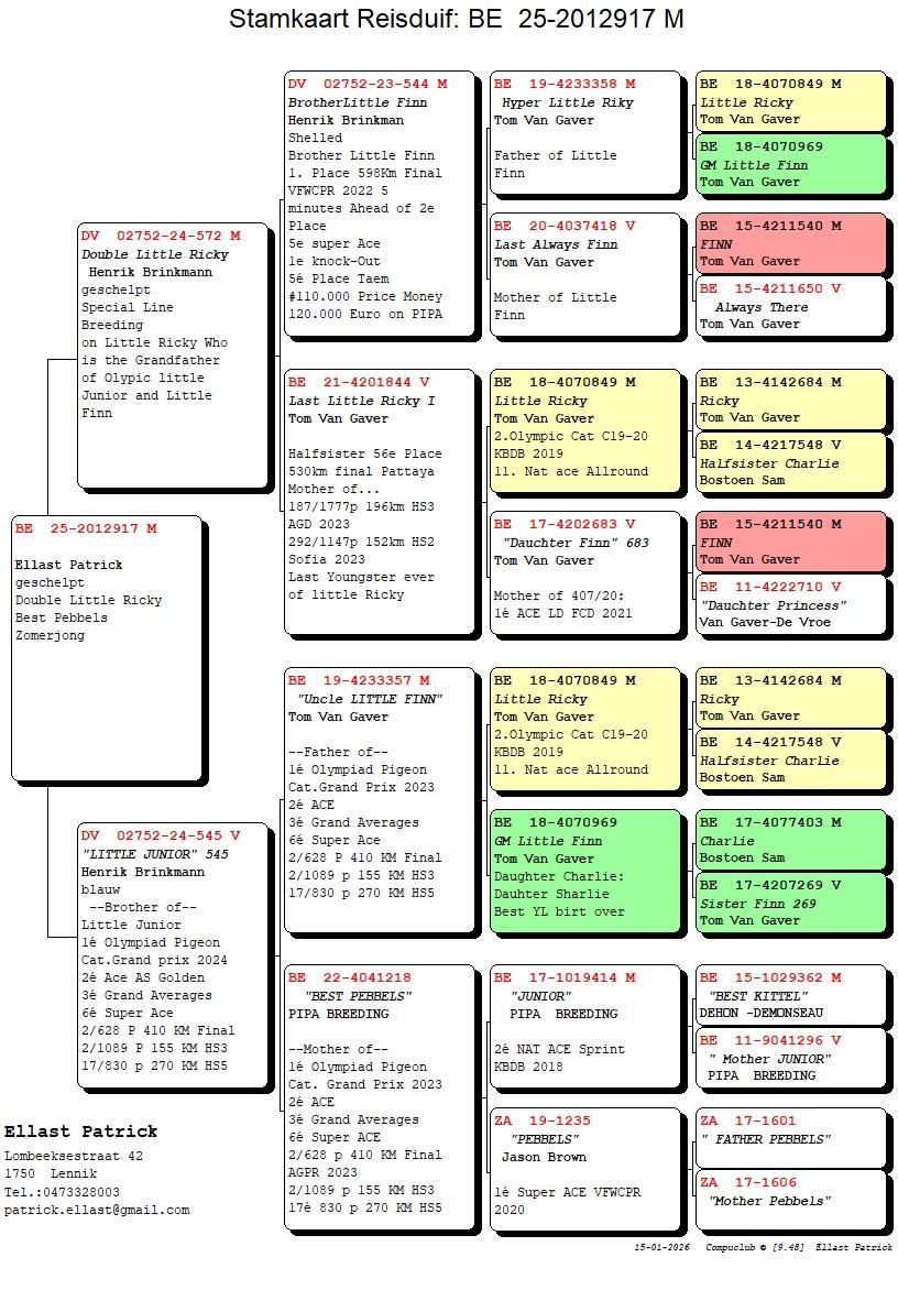 pedigree Double Little Ricky x Little Junior 545 