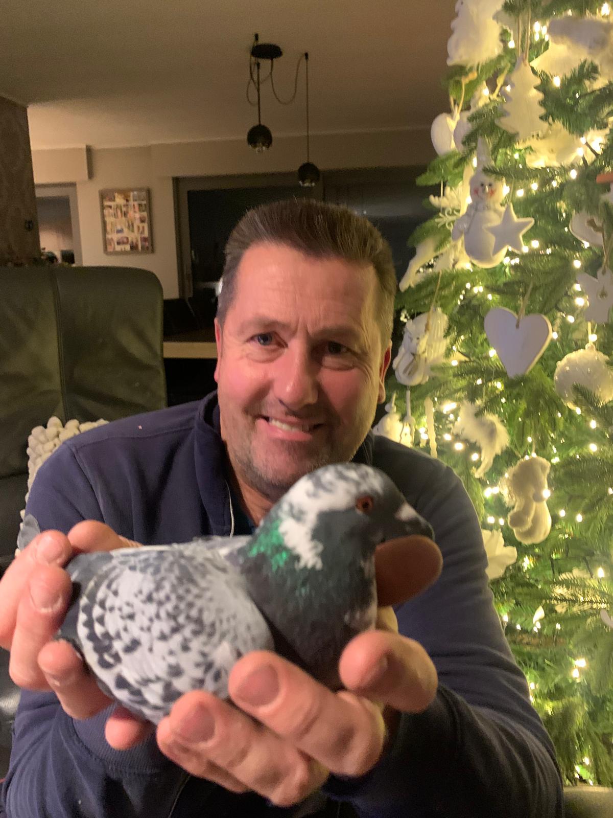 MERVEILLIE LIEVEN - IEPER - JONGE DUIF OP AFSPRAAK