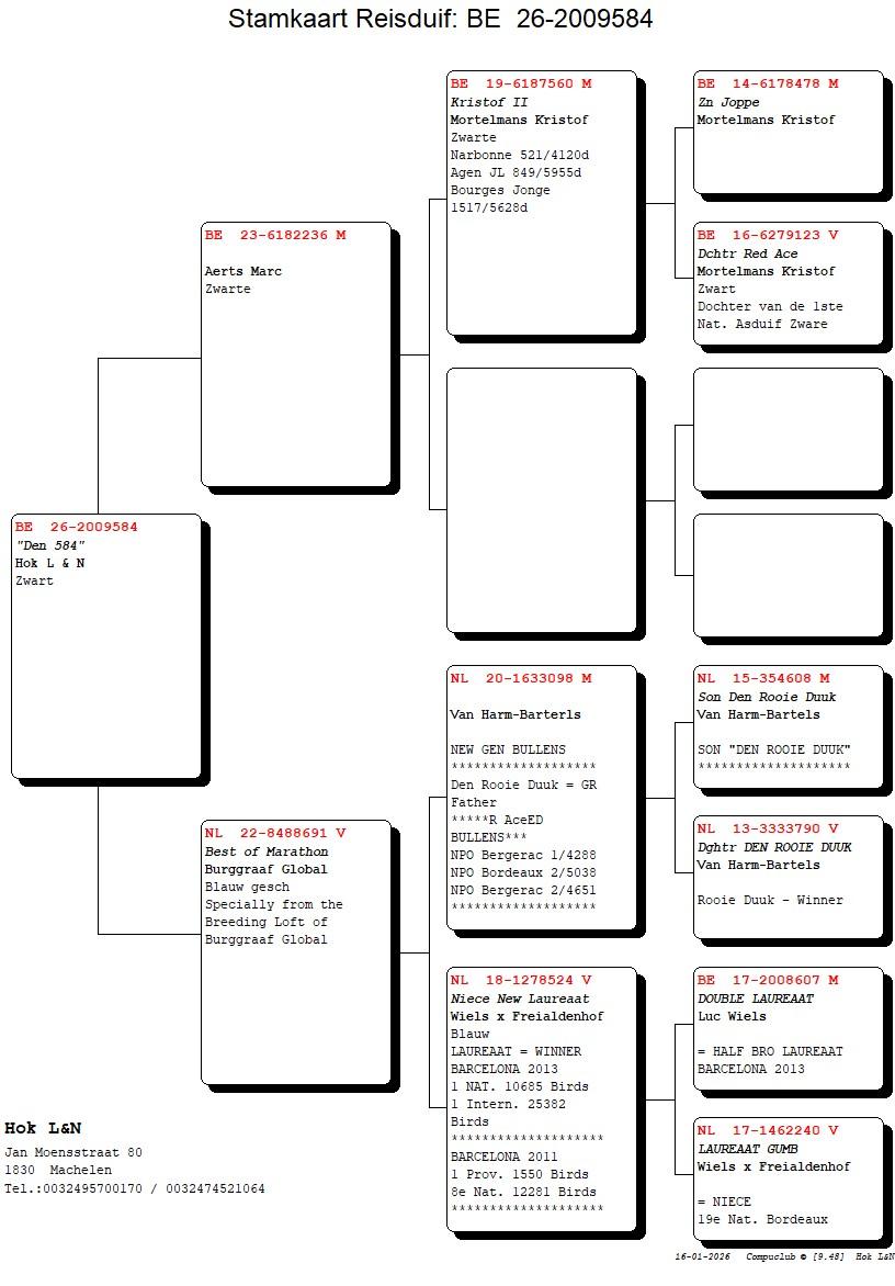 pedigree "Den 584"