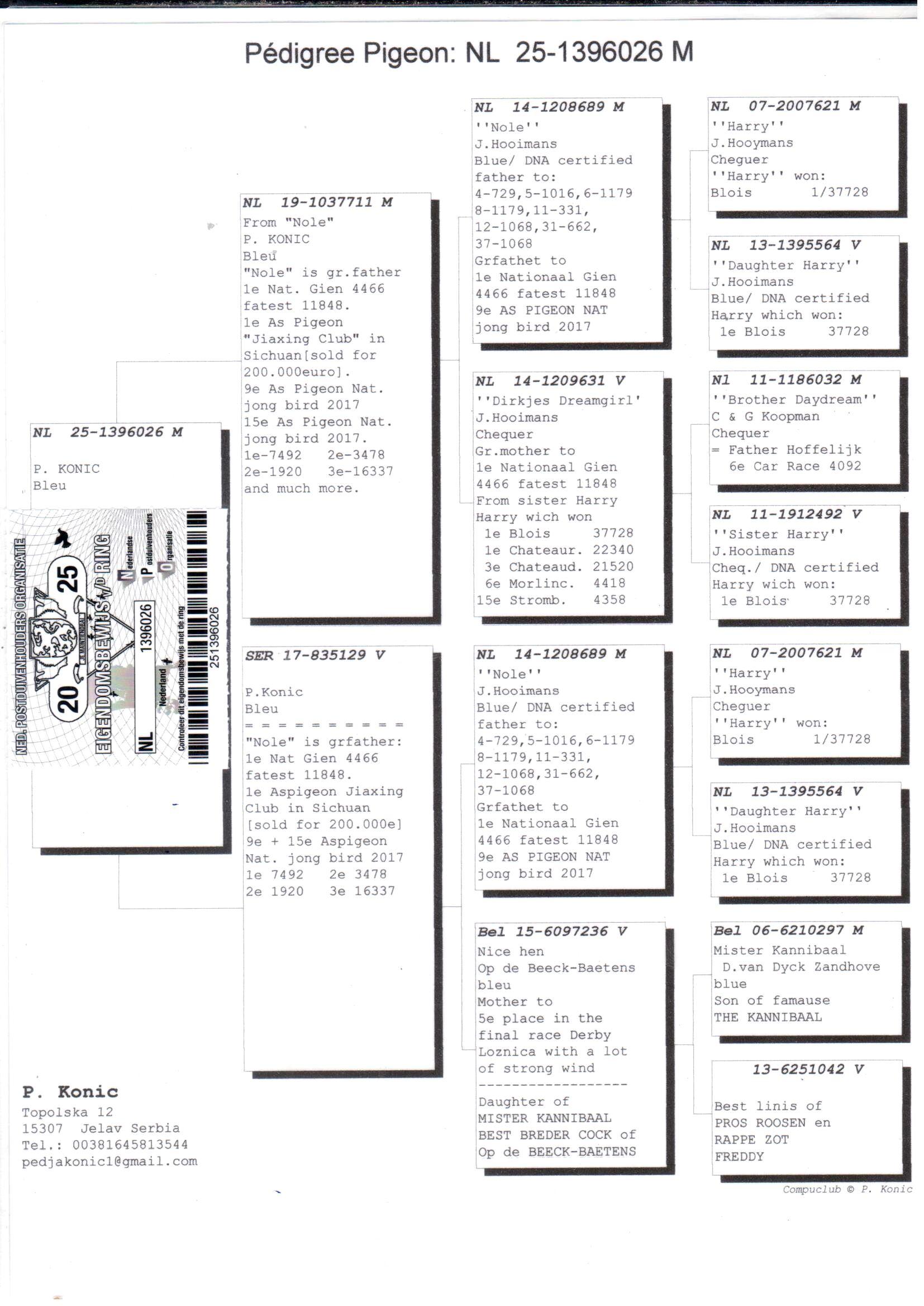 pedigree Zoon Nole x Dochter Nole 