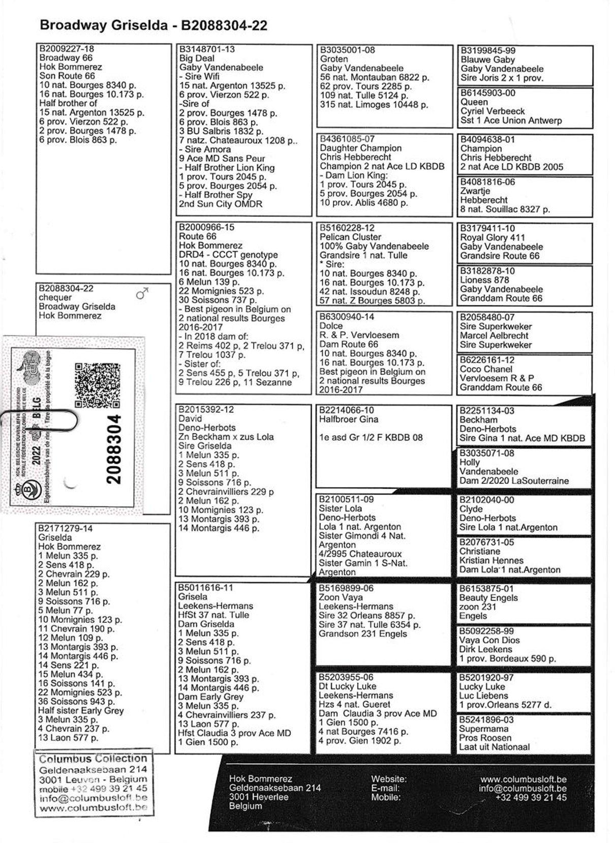 pedigree Broadway Griselda