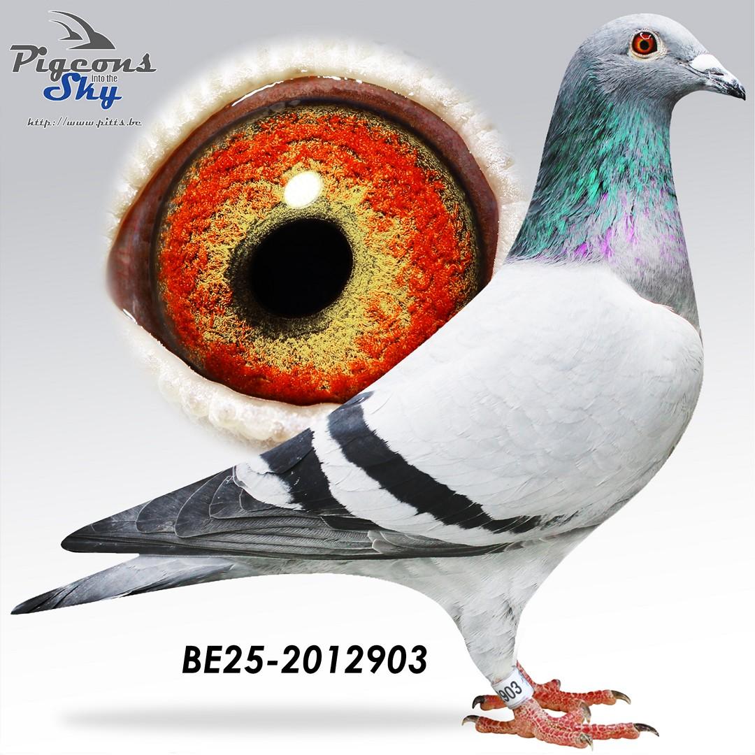 Lucky Luc x Dochter Beauty Porschke 