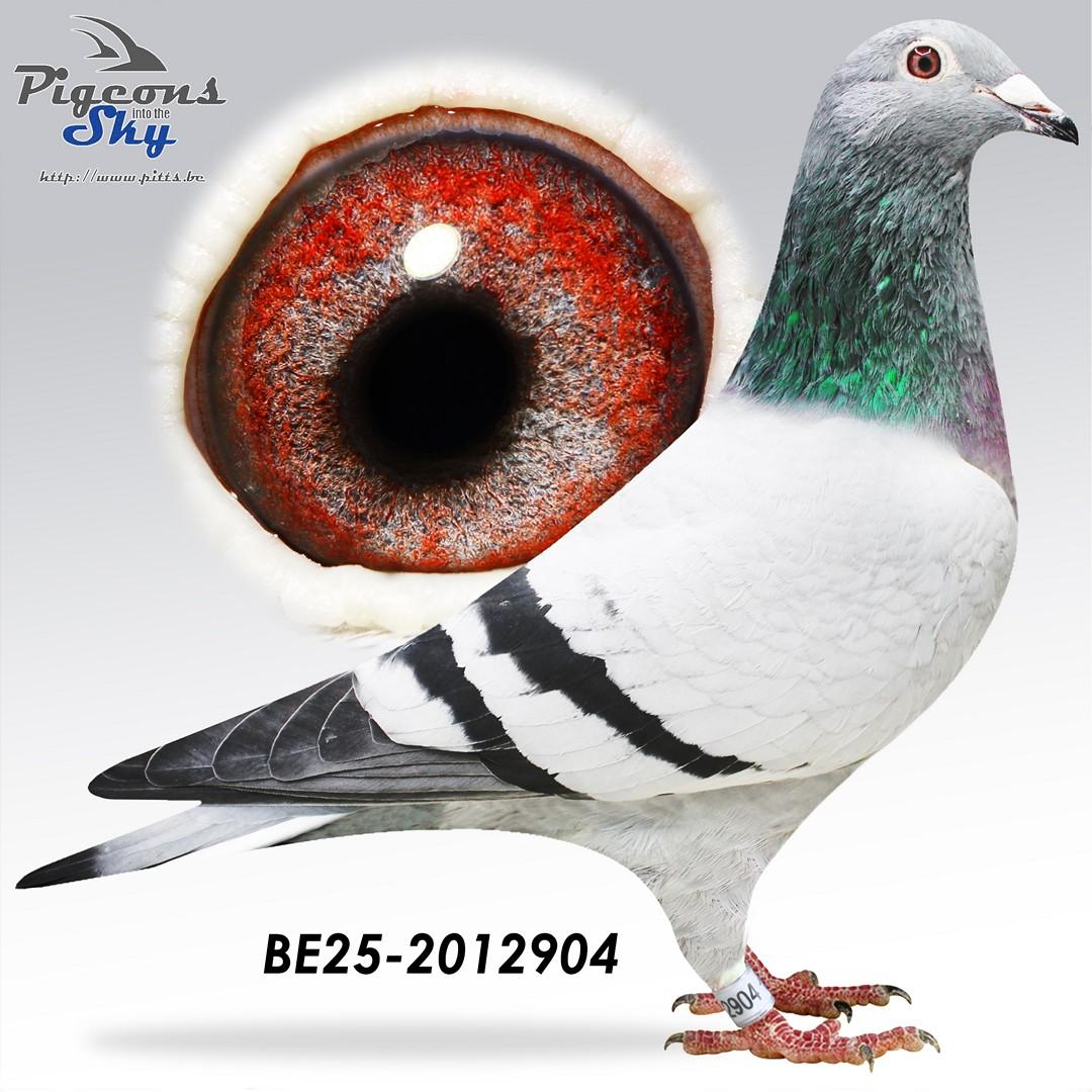 Porsche lijn x Ricky’s Finn 