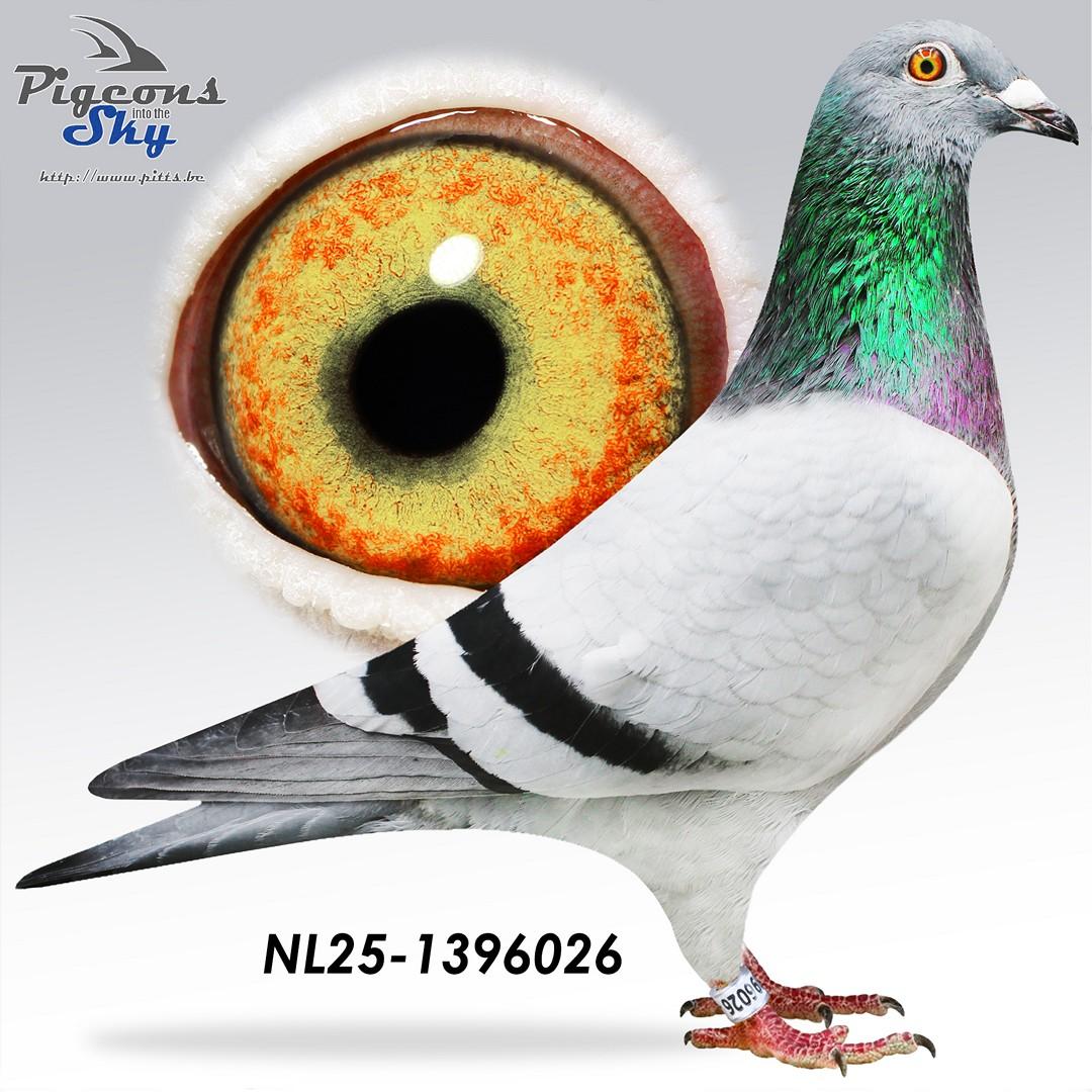 Zoon Nole x Dochter Nole 