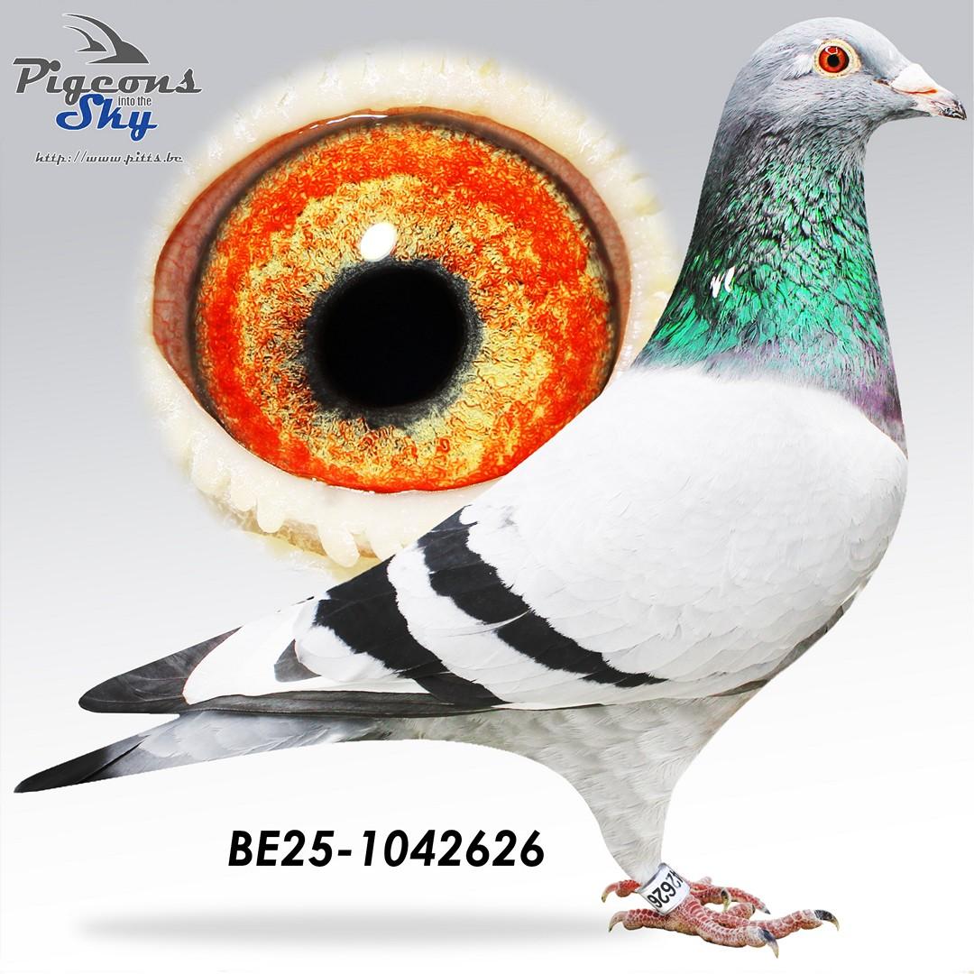 Waldico x Dochter Waldico 