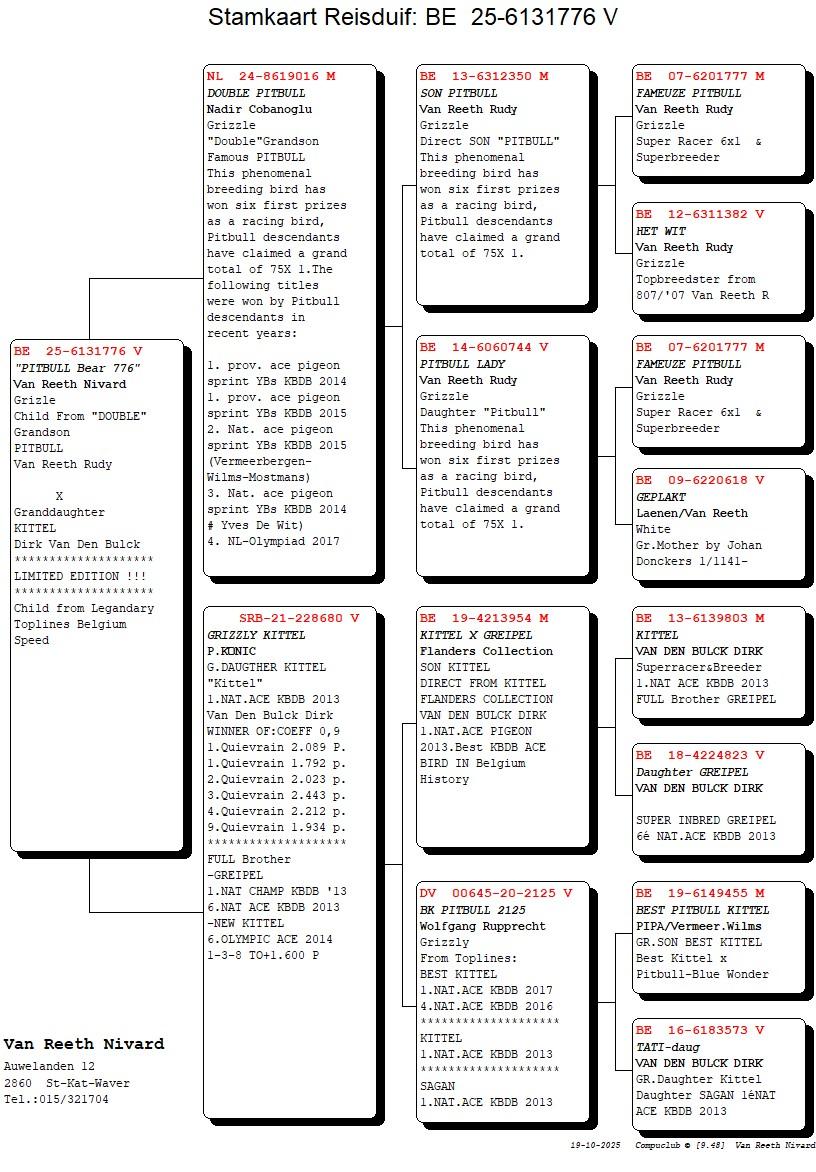pedigree Pitbull Bear 776 