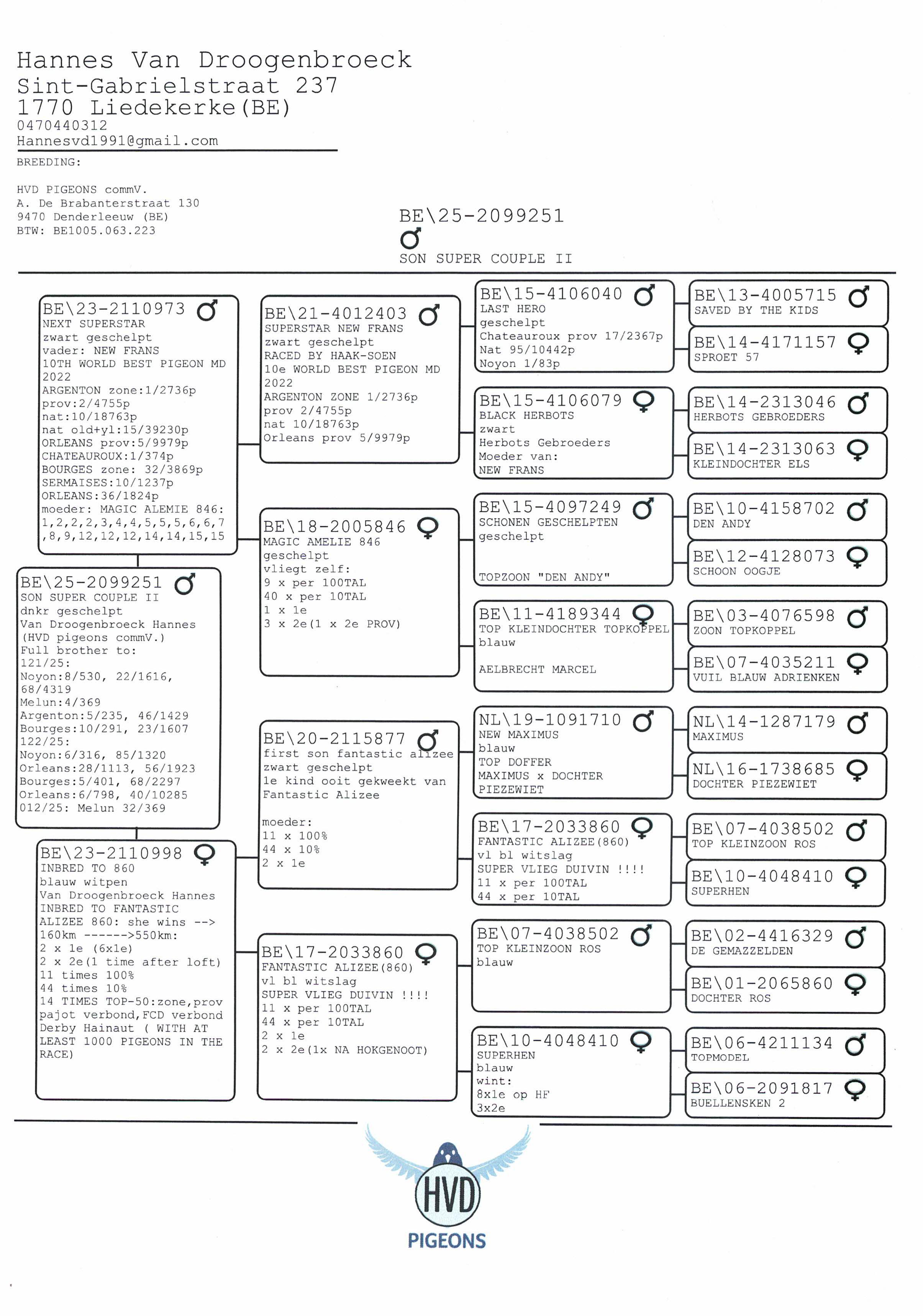 pedigree Son Super Couple II 