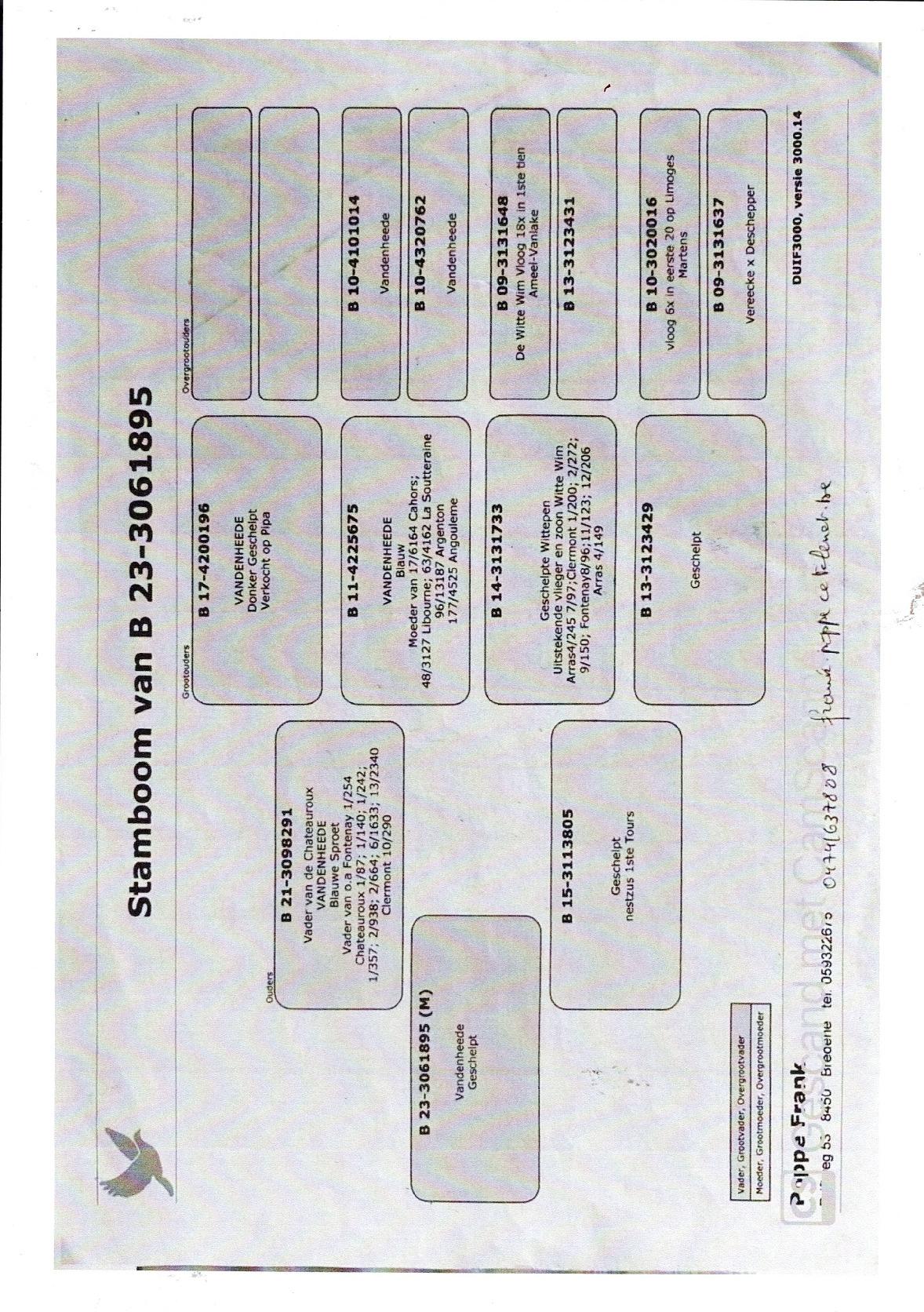 pedigree Robben Jolien Beerse Jonge duif 2026 ter plaatse